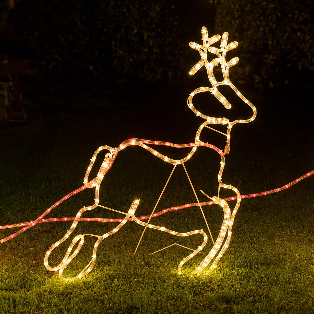 Santa Sleigh & Reindeer Light (3m)