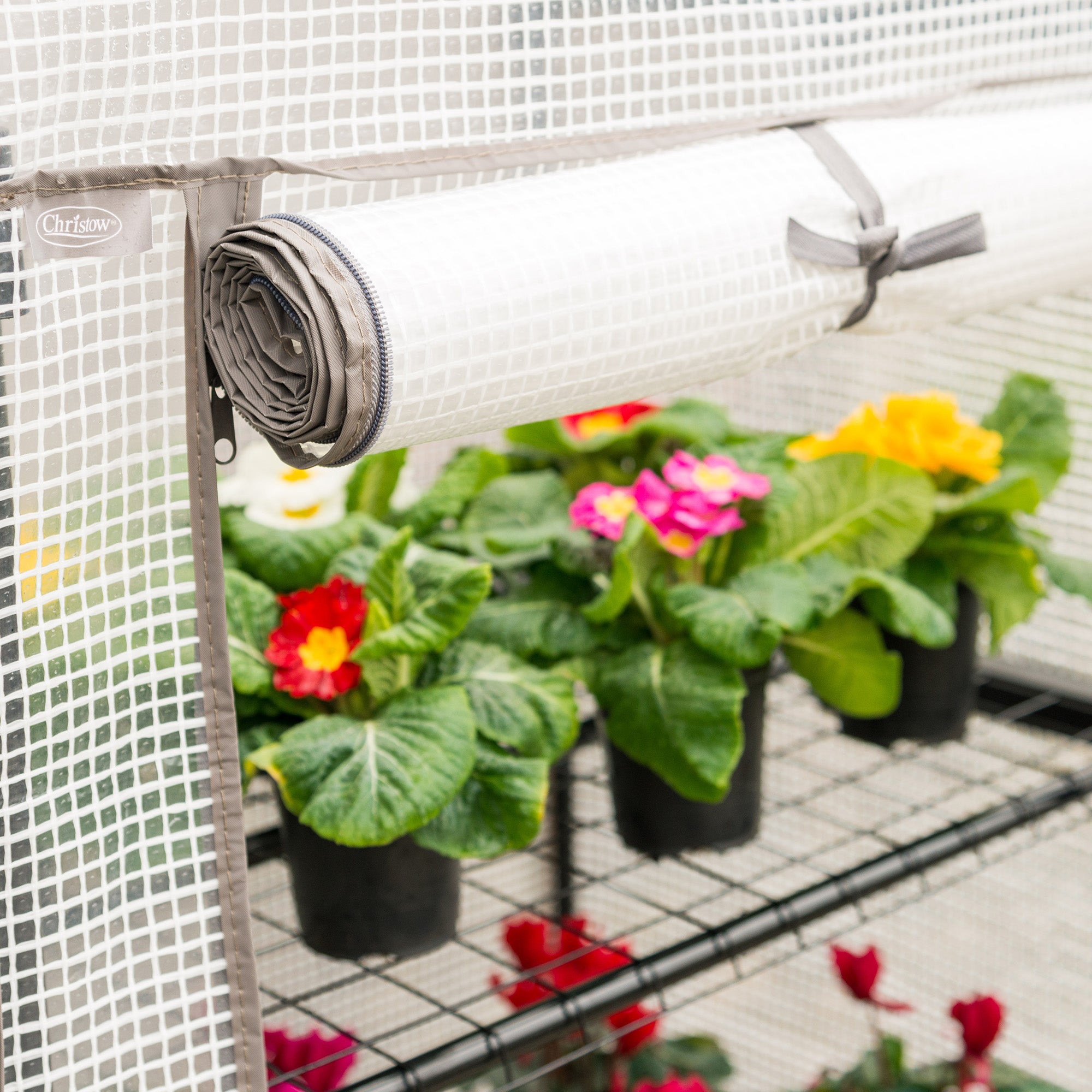 Mini PE Greenhouse