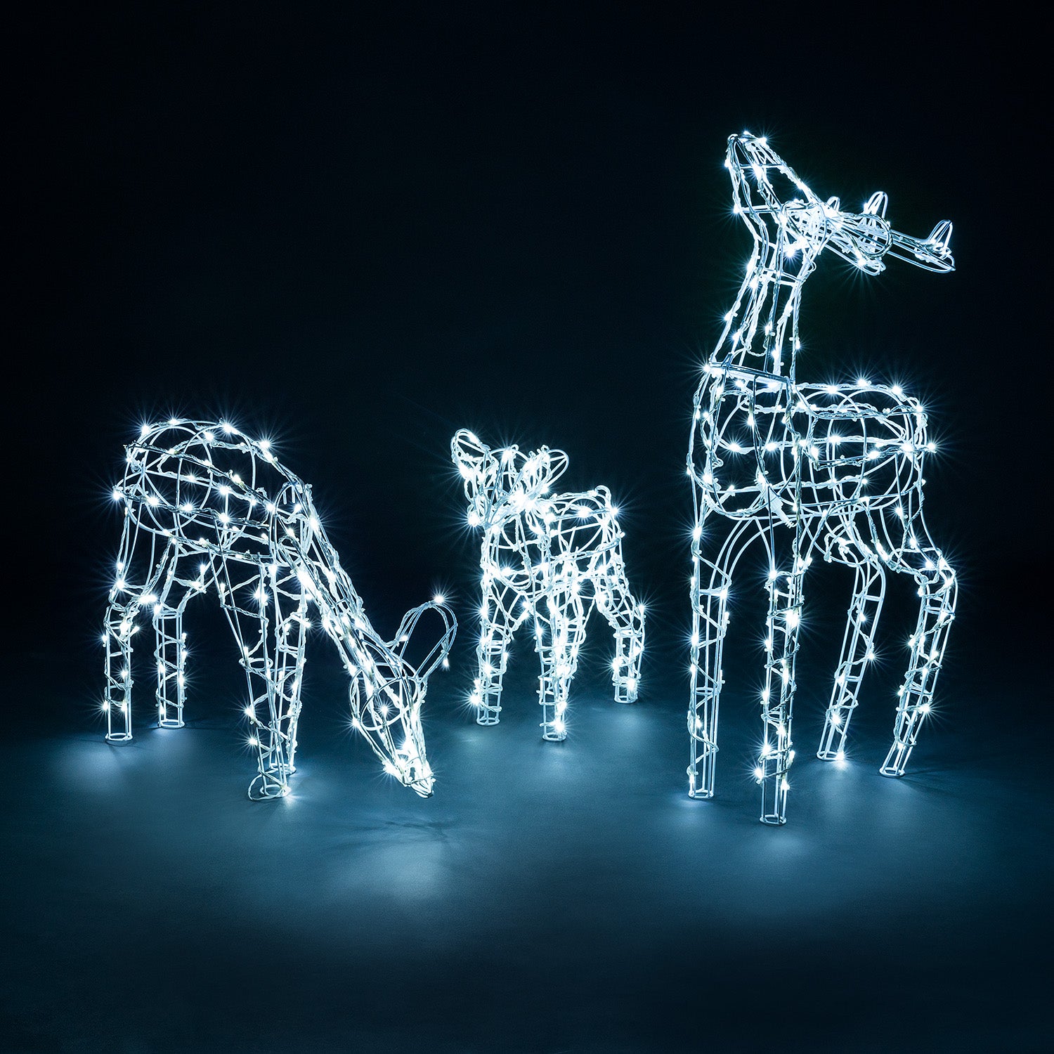 White Wire Light Up Reindeer Family (3pc Set)