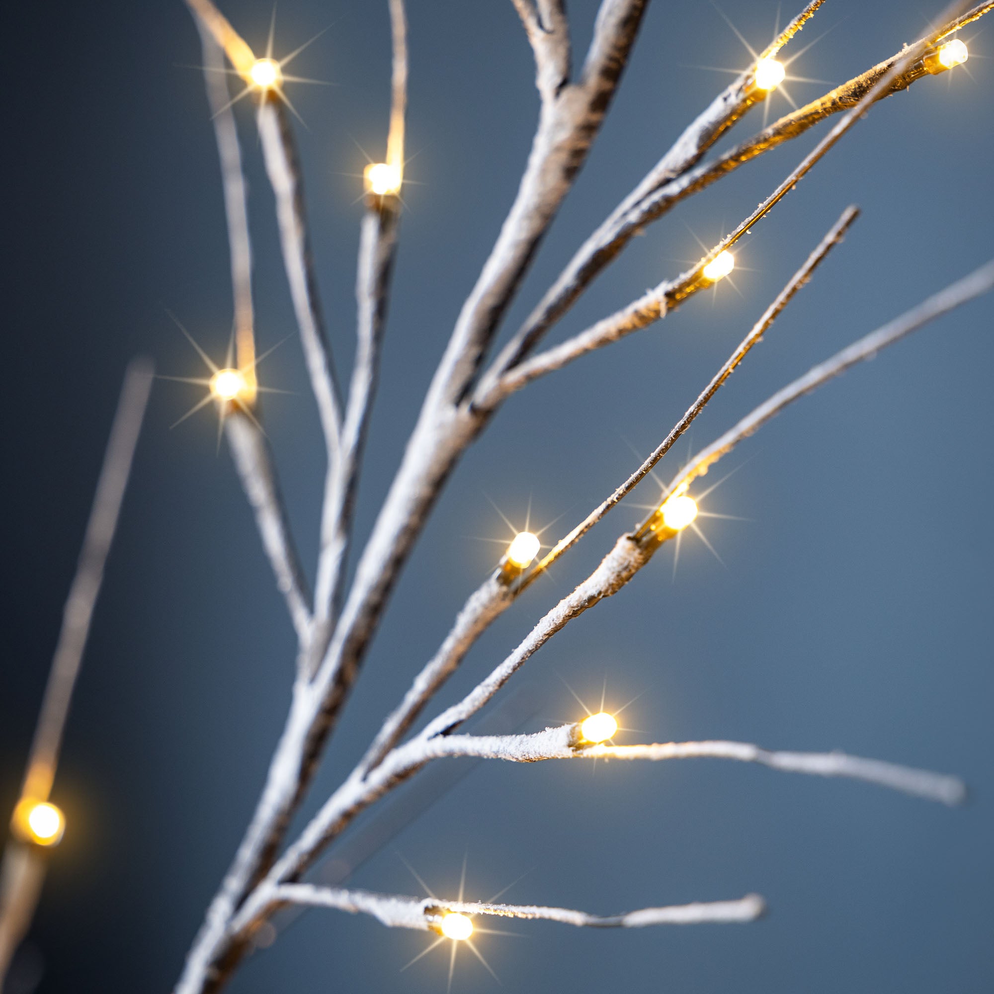 Snowy Twig Tree With Lights