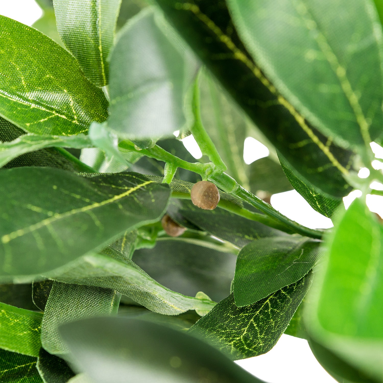 Pair of Artificial Bay Trees