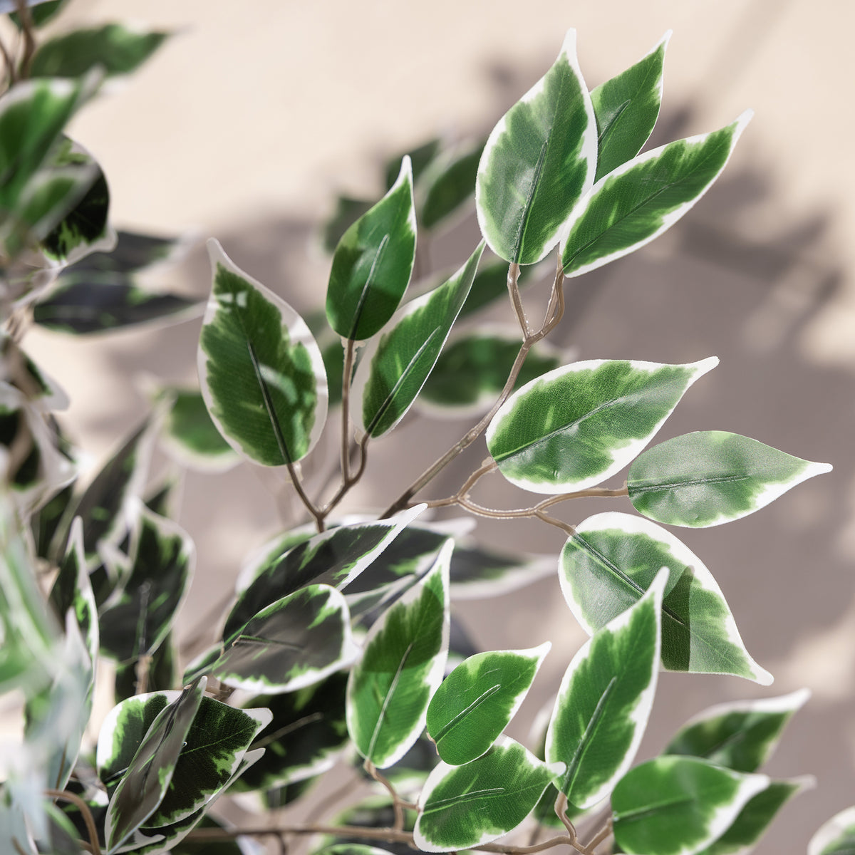 Artificial Variegated Ficus Tree – 3ft, 4ft & 5ft