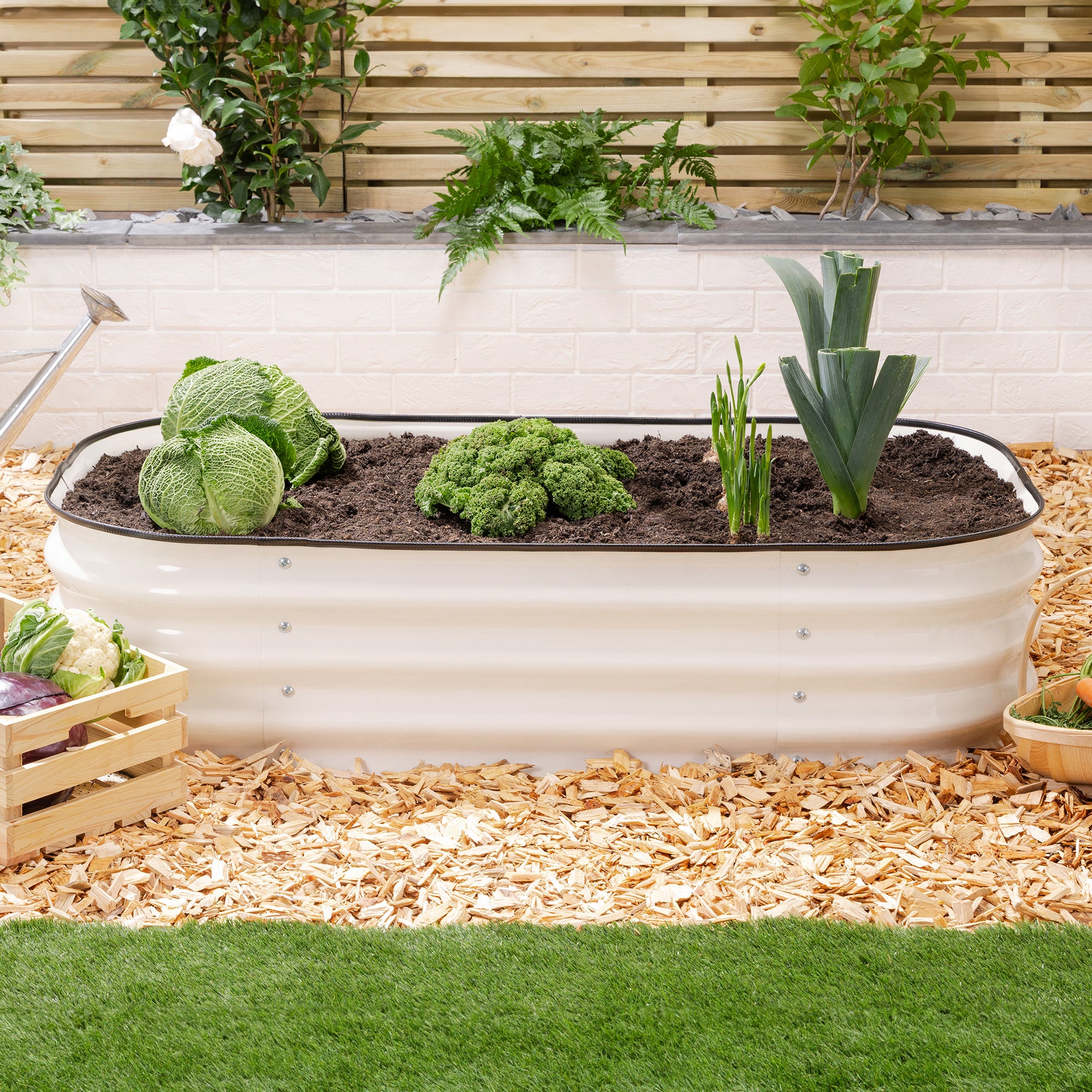 #Colour_Cream | Size_120cm