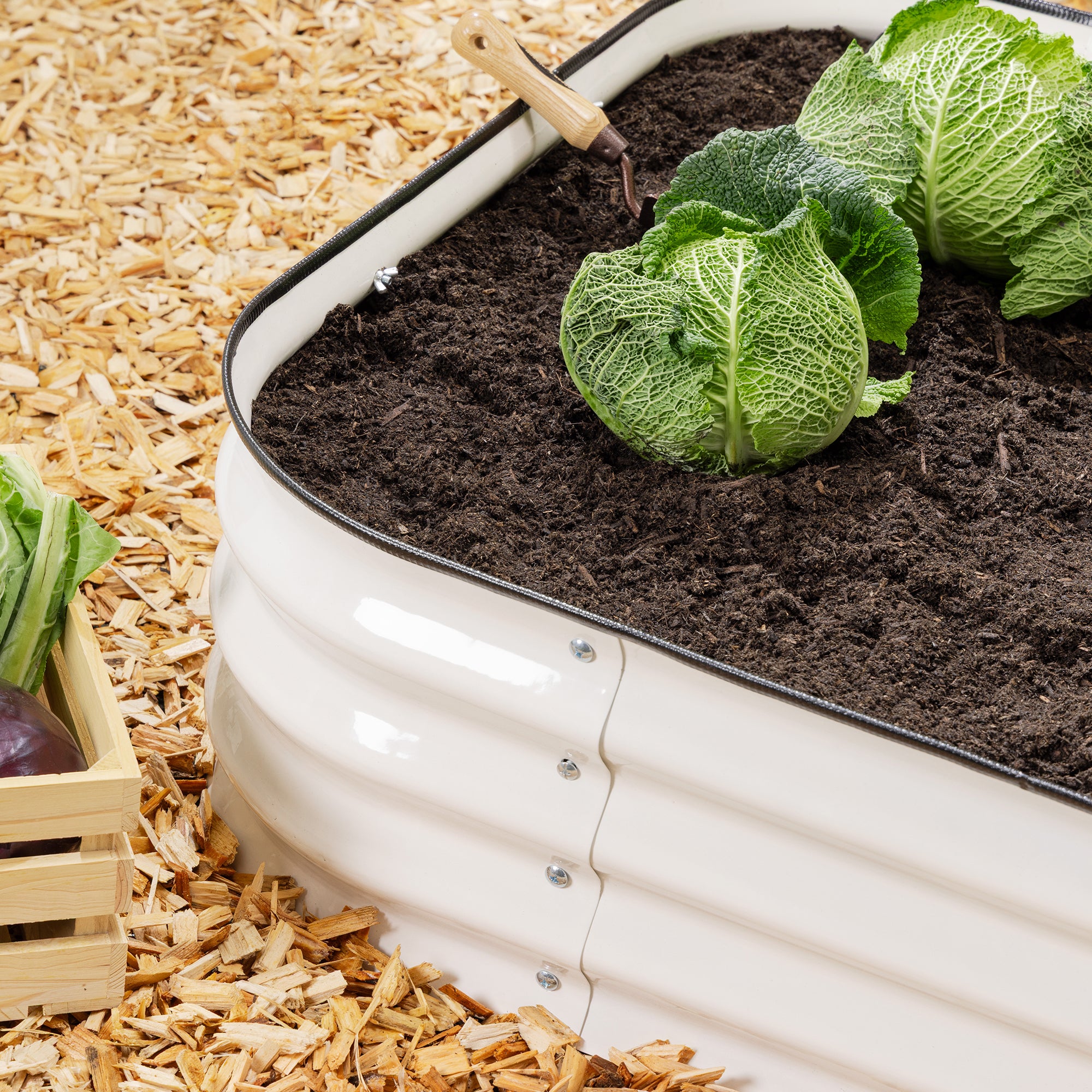 #Colour_Cream | Size_120cm