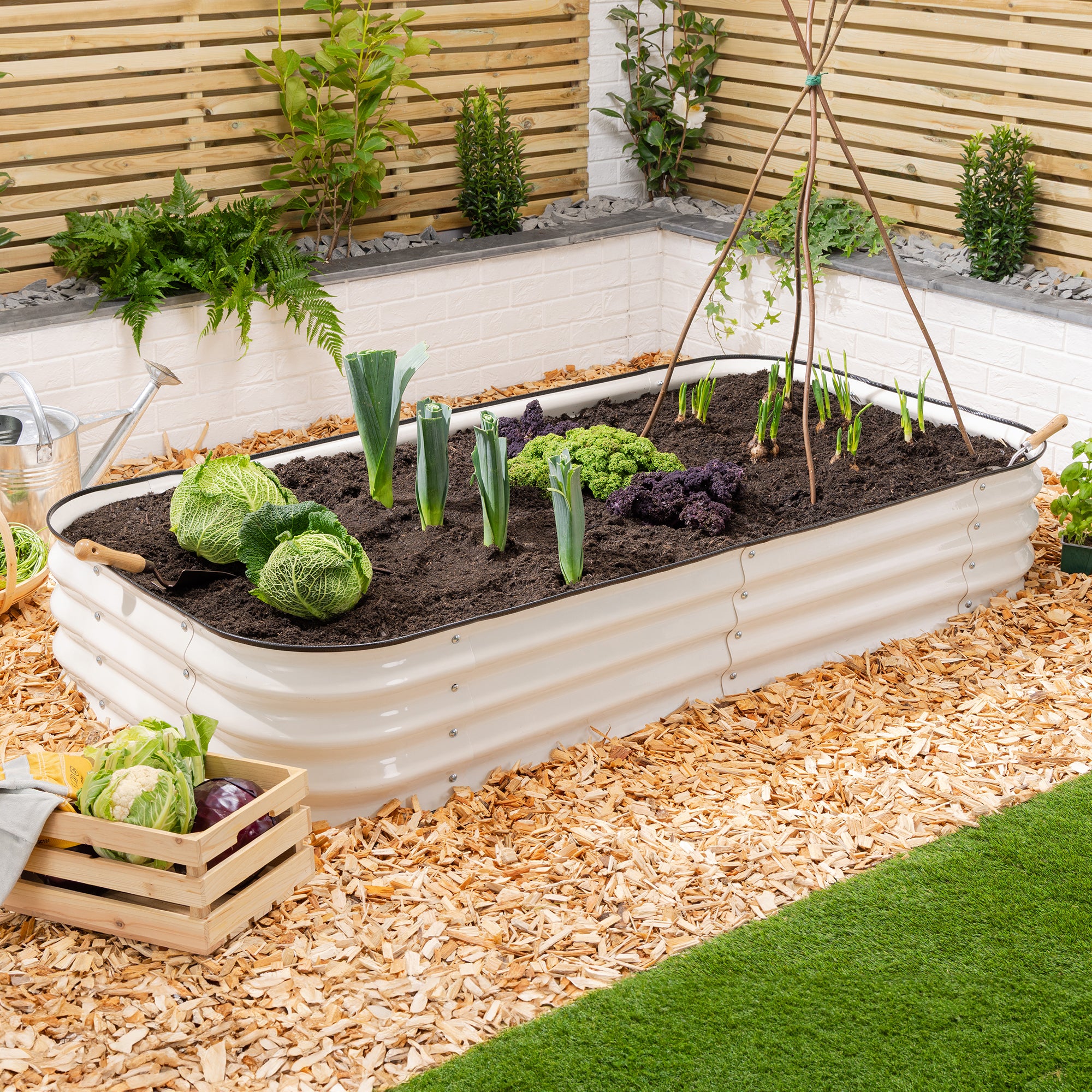 #Colour_Cream | Size_180cm