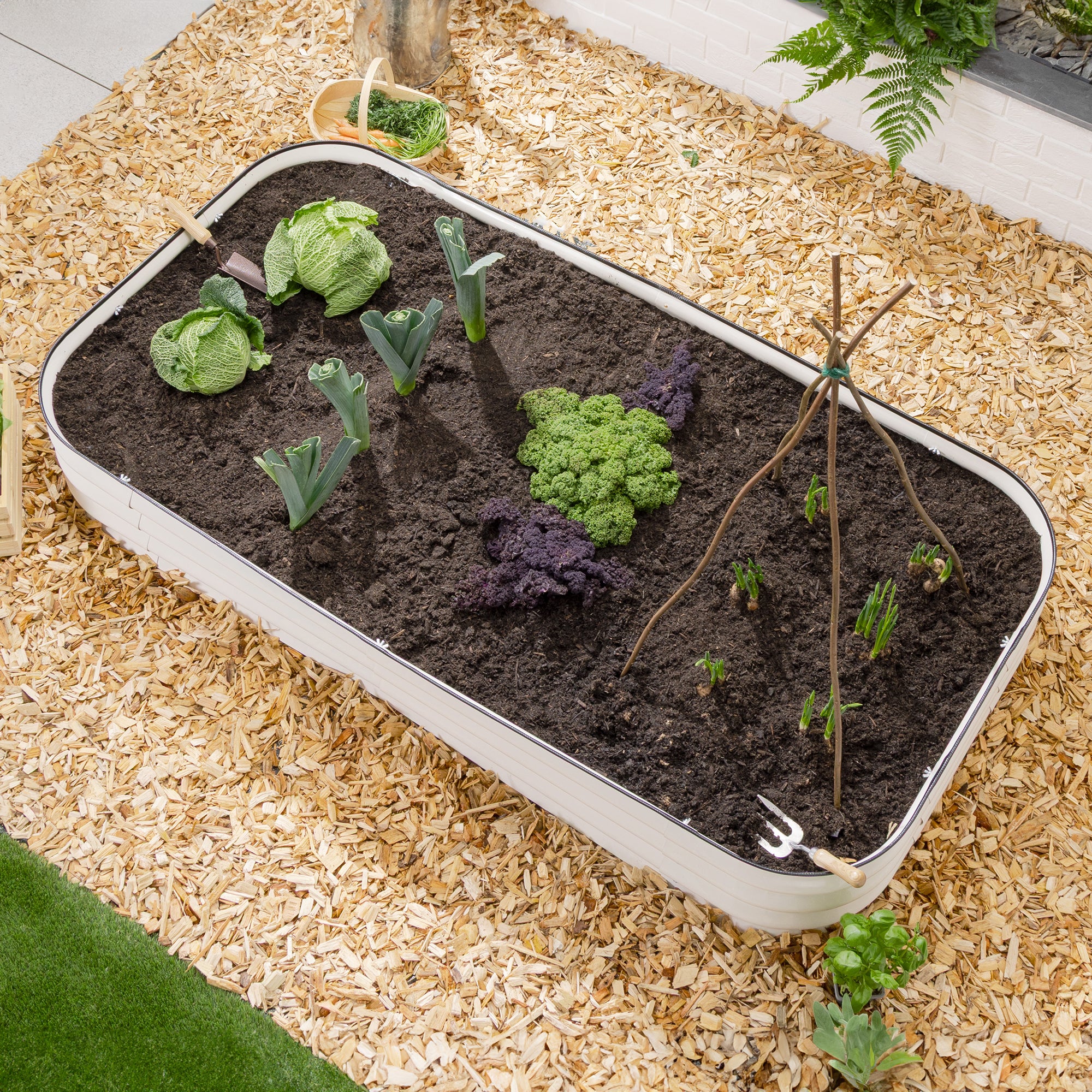 #Colour_Cream | Size_180cm