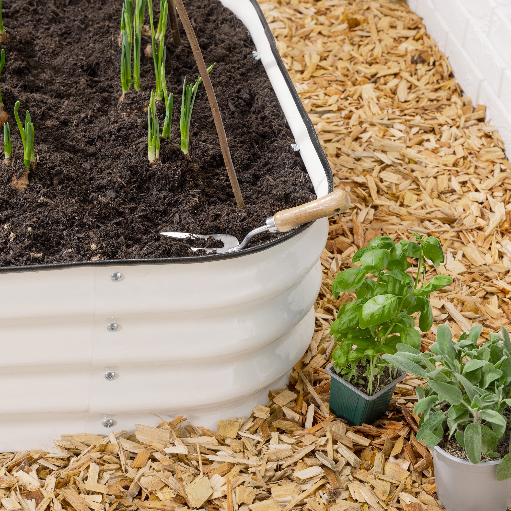 #Colour_Cream | Size_180cm