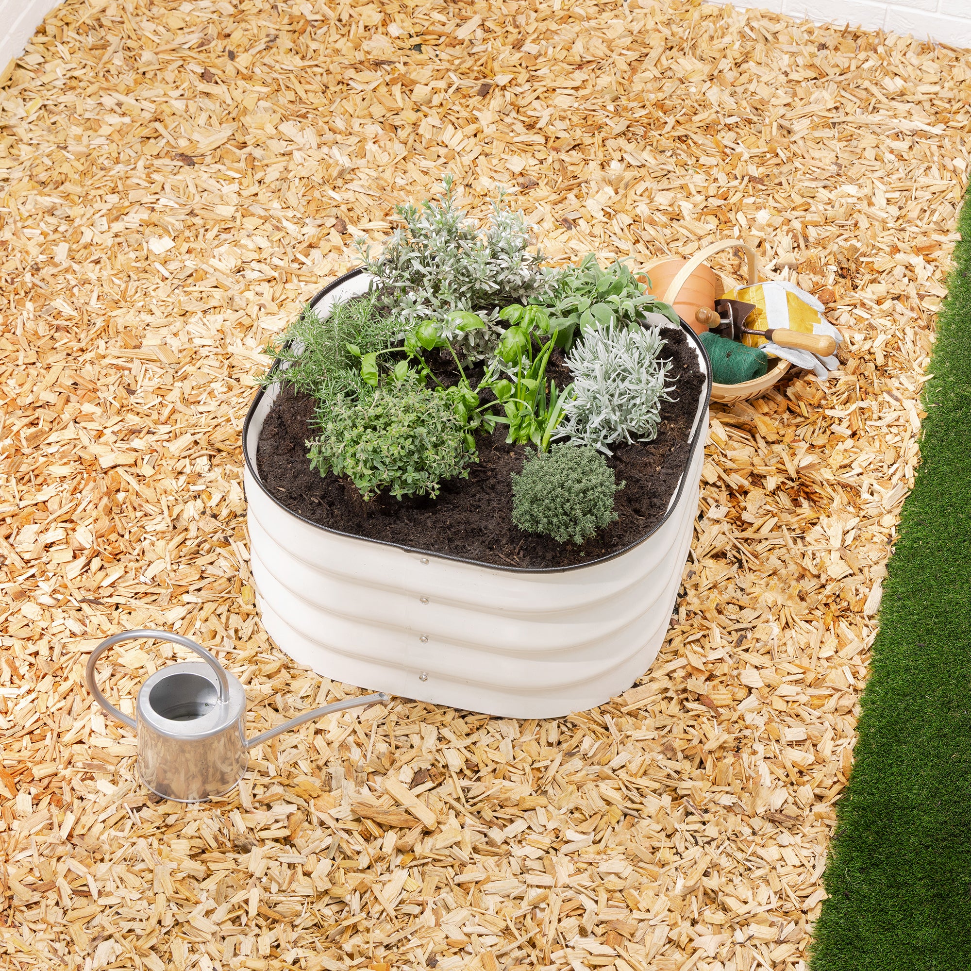 #Colour_Cream | Size_63cm