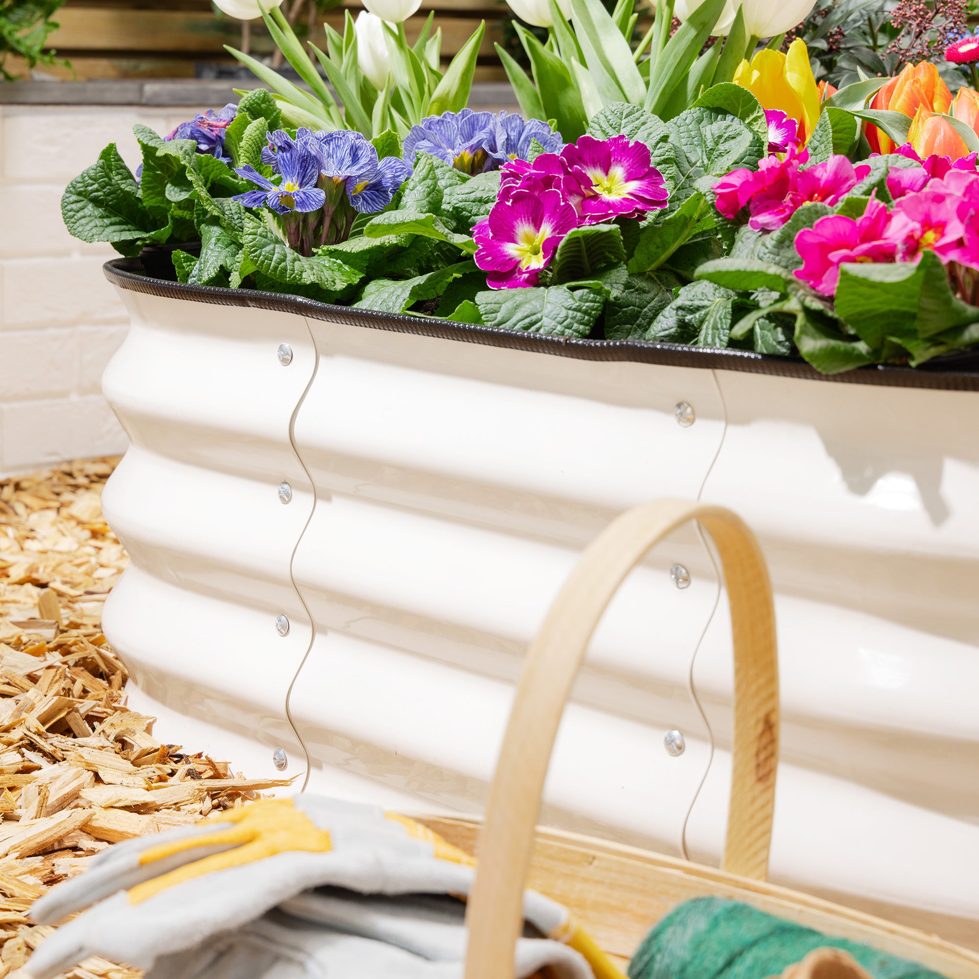 #Colour_Cream | Size_90cm