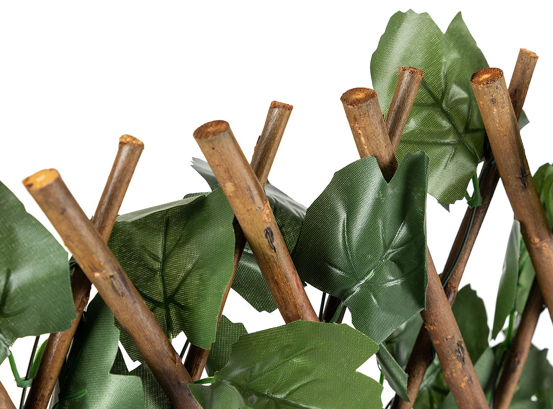 Expandable Willow Frame