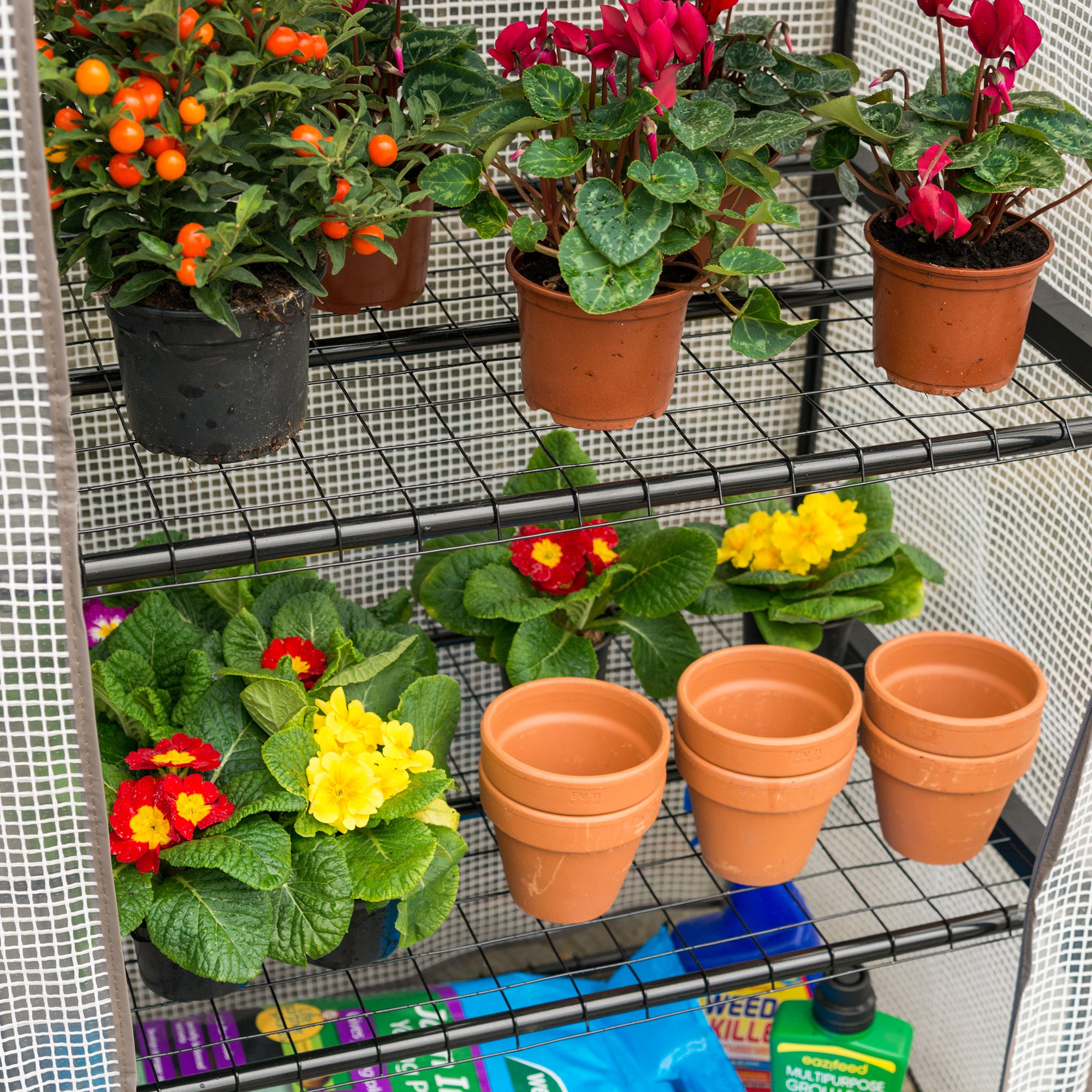Mini PE Greenhouse