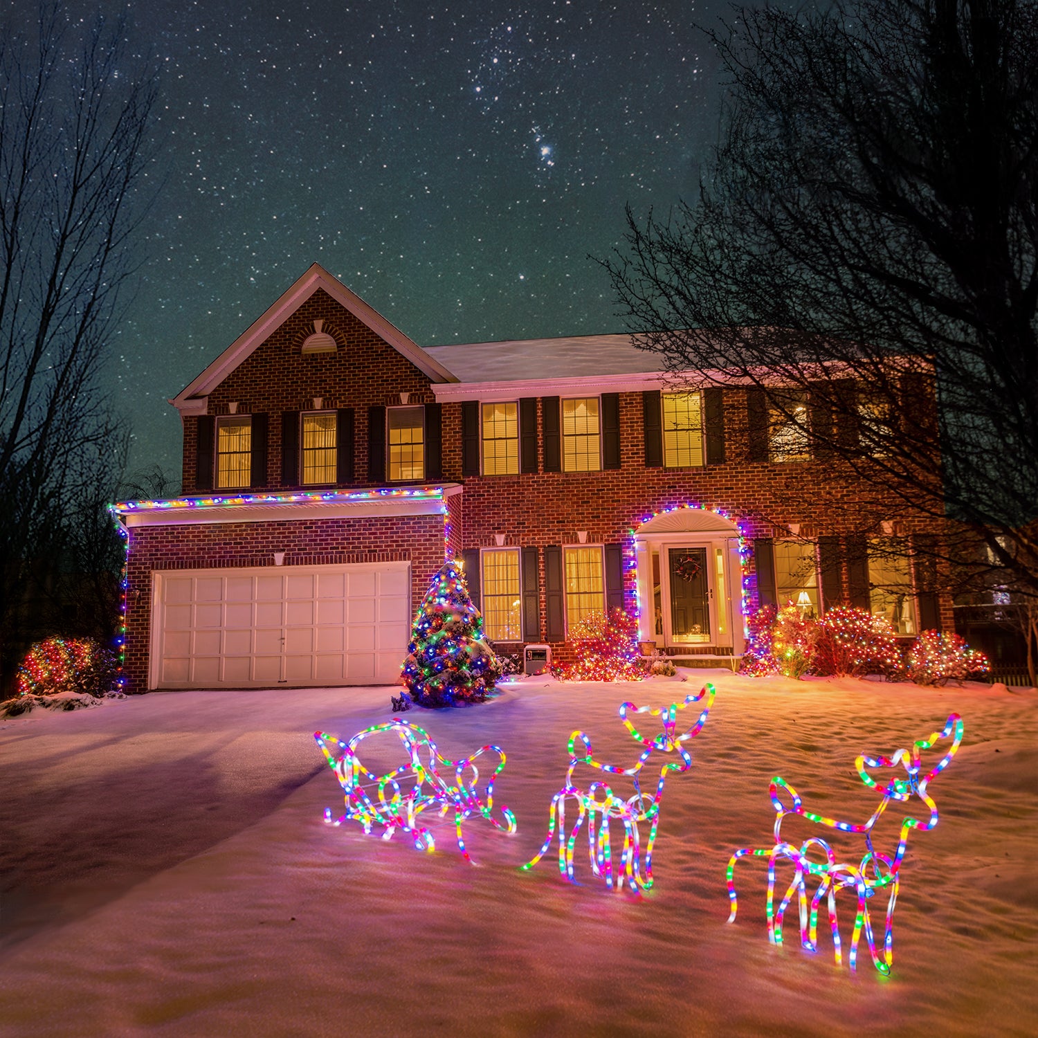Light Up Sleigh & Reindeer (2.5m)
