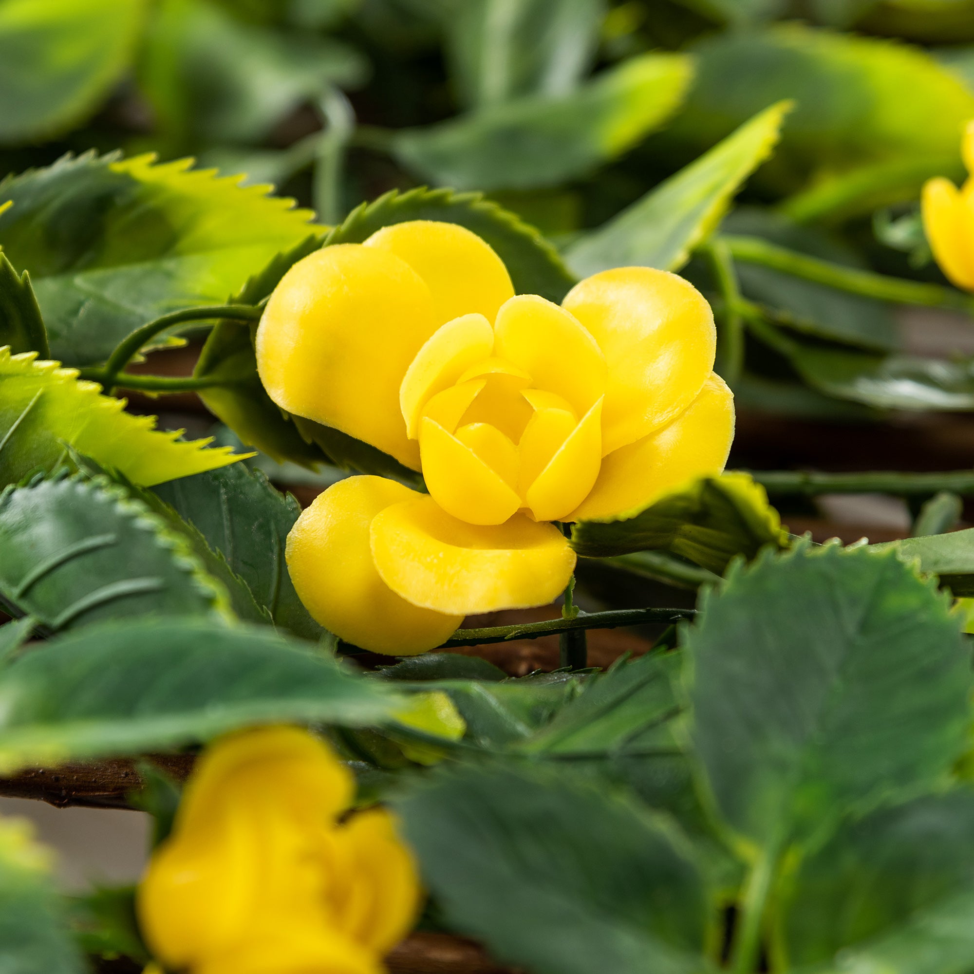 #colour_yellow
