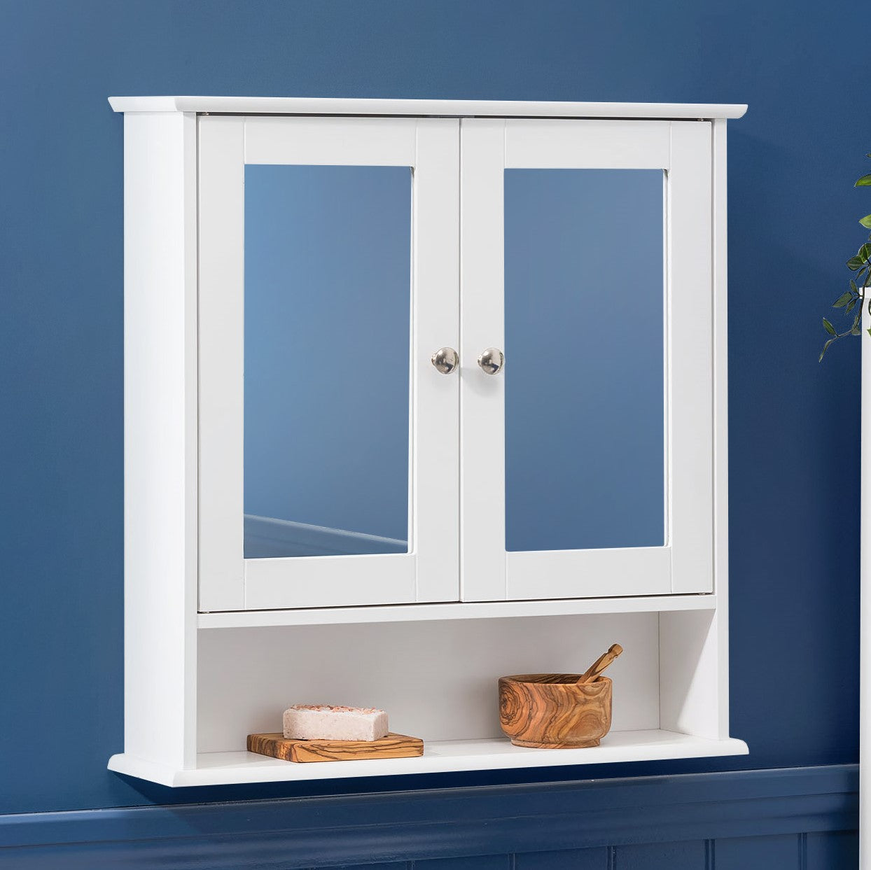 Clovelly Double Mirrored Cabinet