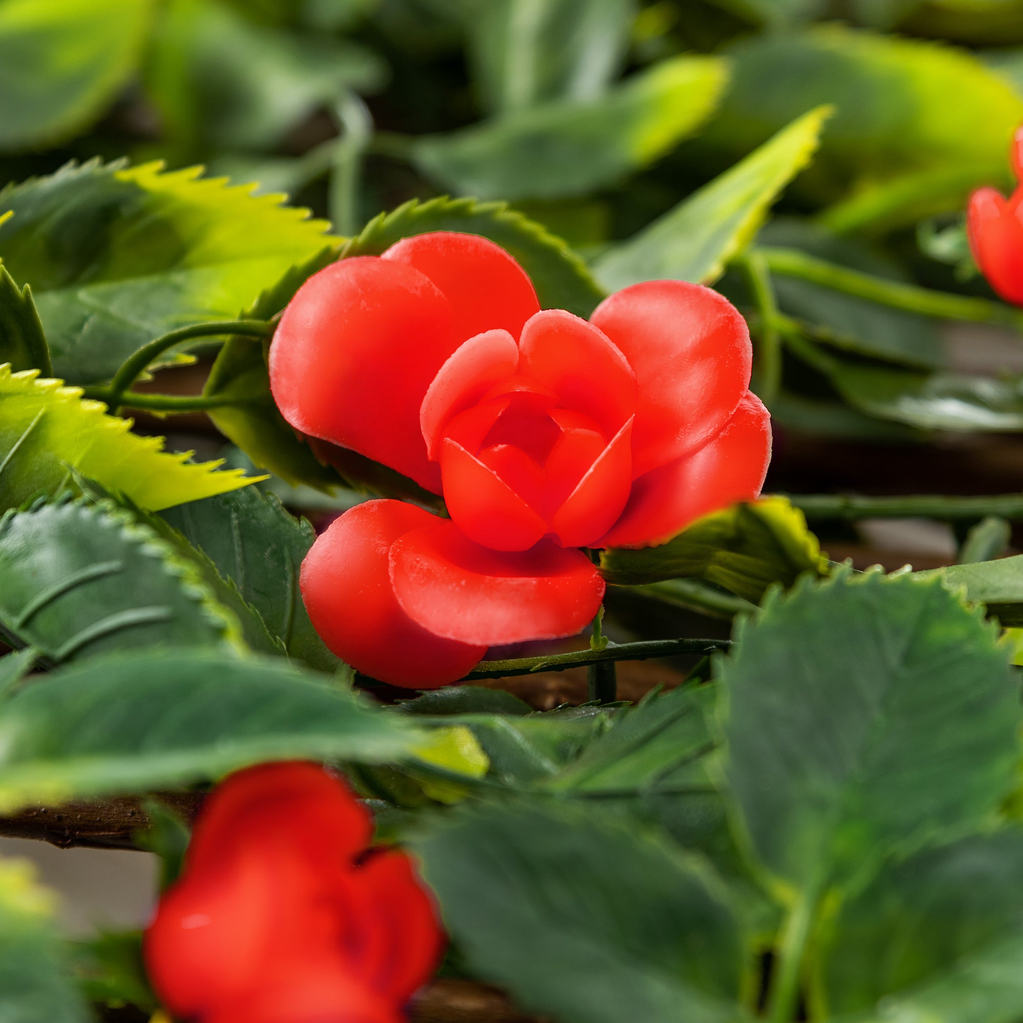 #colour_red