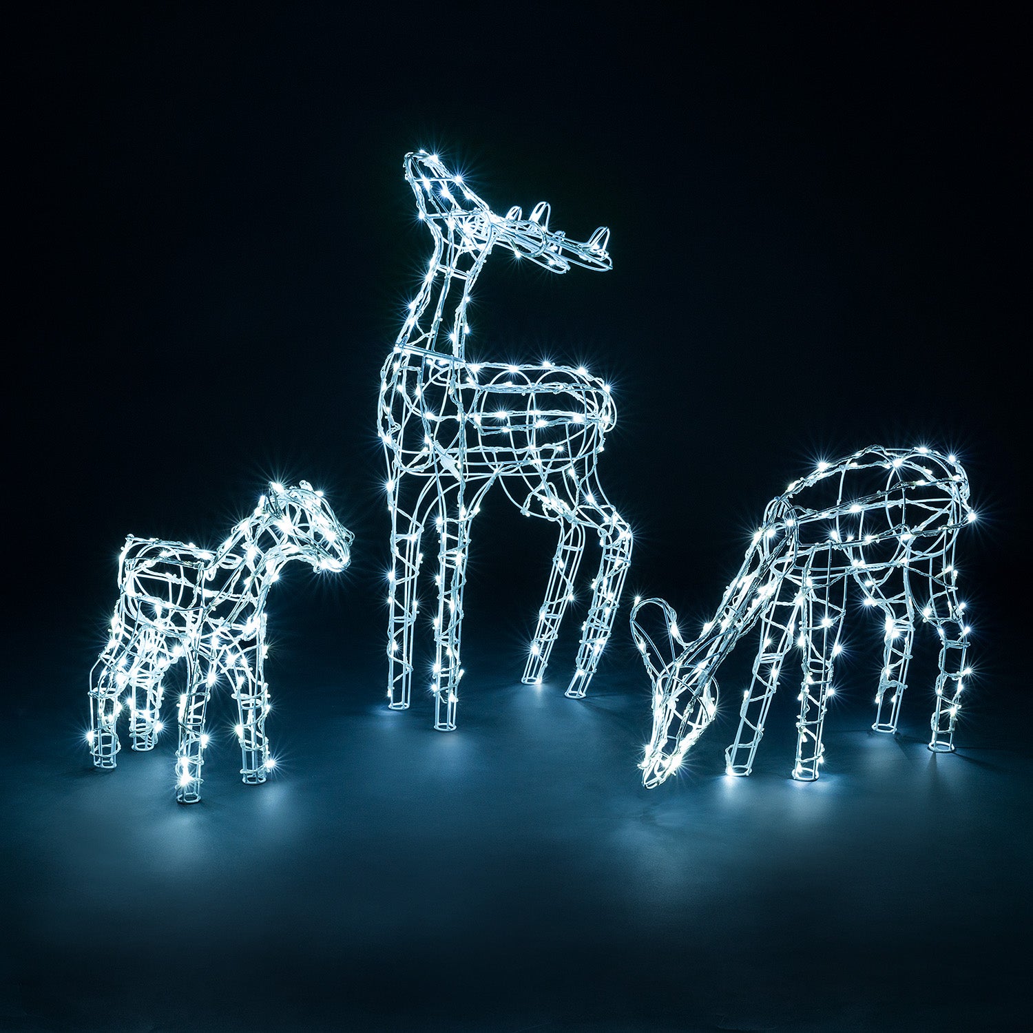 White Wire Light Up Reindeer Family (3pc Set)