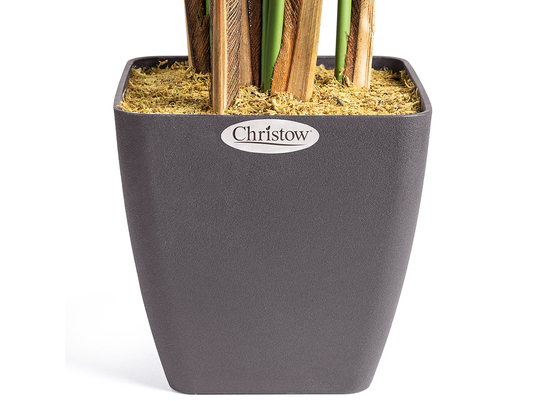 Pre-Potted for Stability