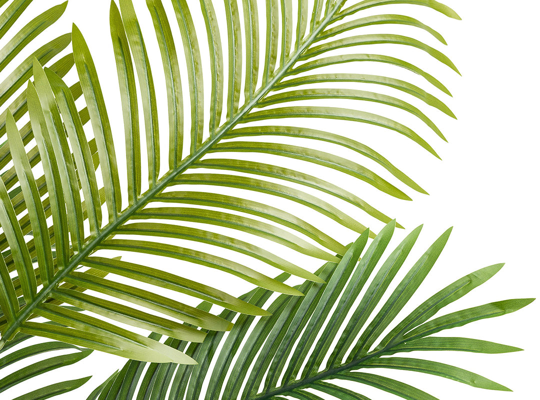 Realistic Palm Leaves