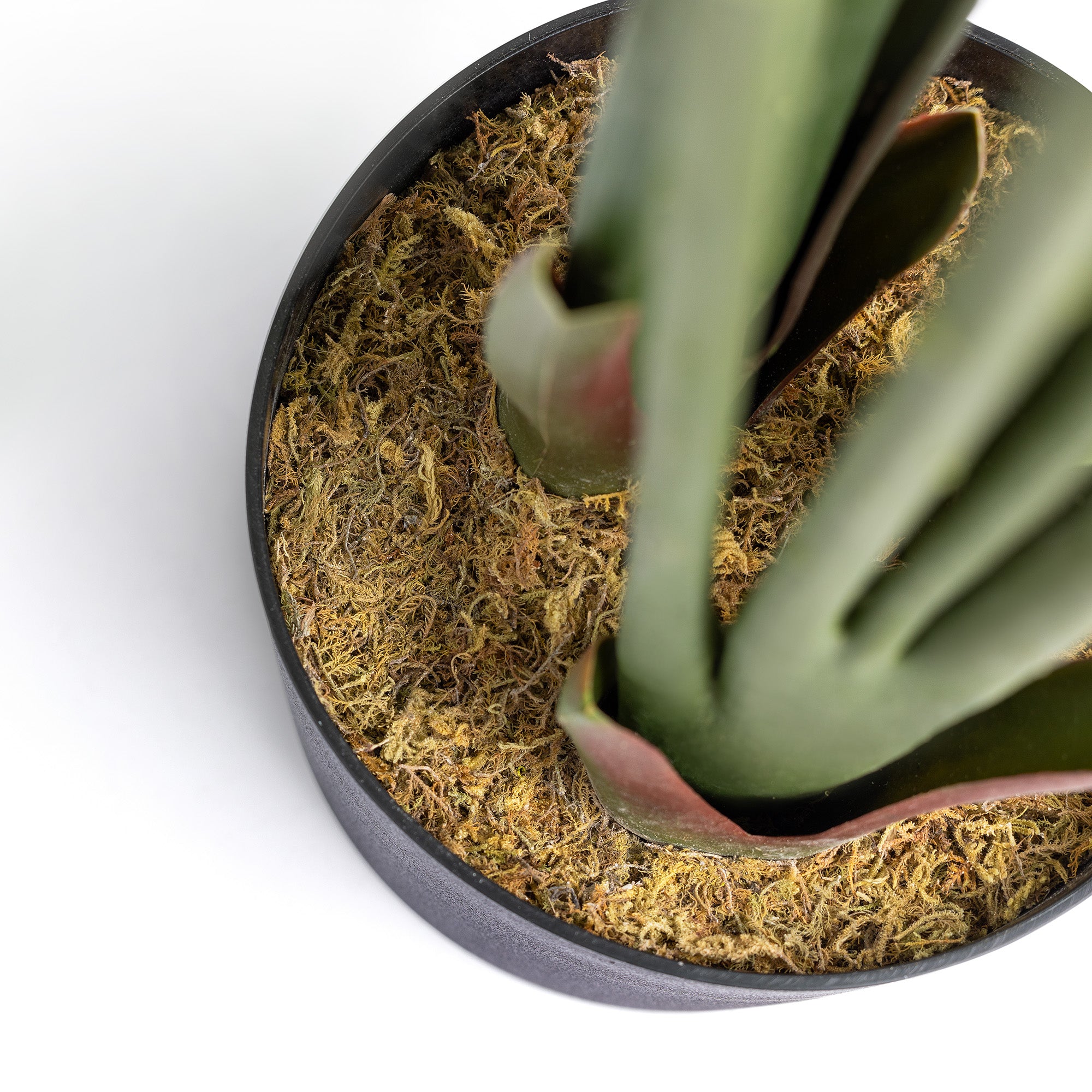 Artificial Banana Tree