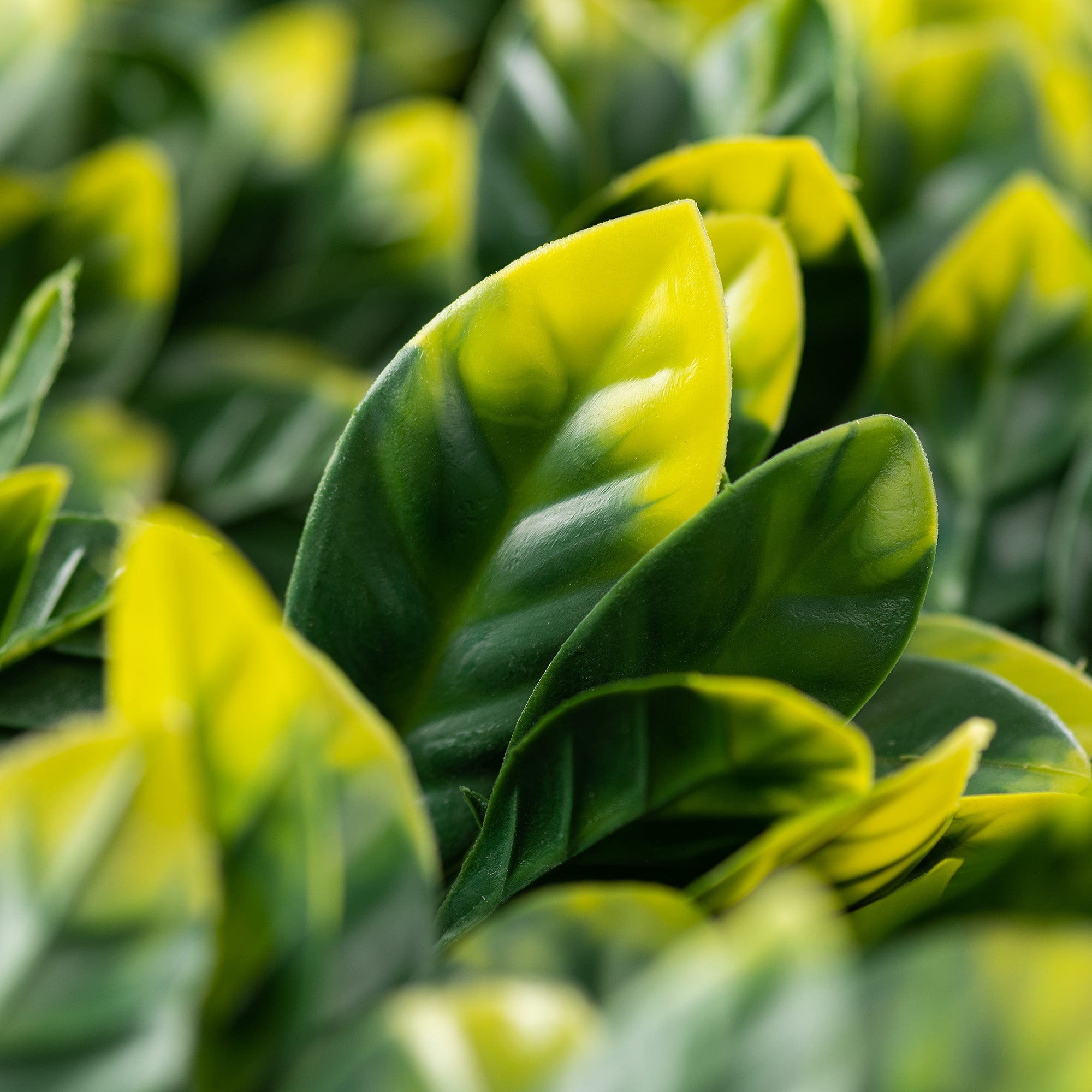Artificial Laurel Trellis (1m x 2m)