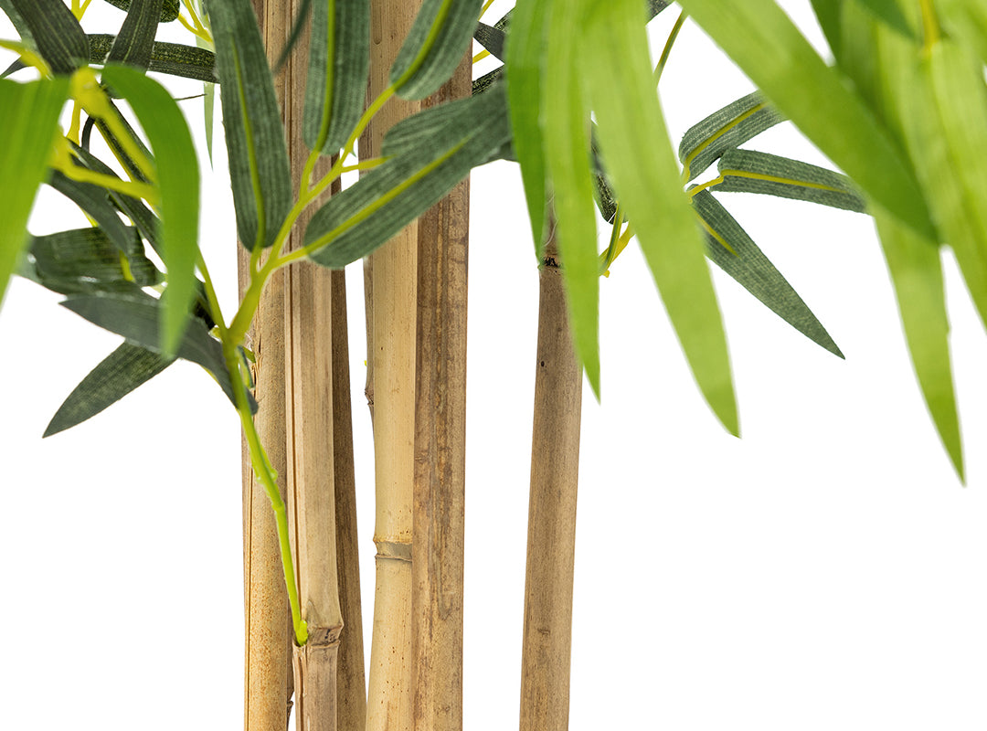 Natural Bamboo Stems