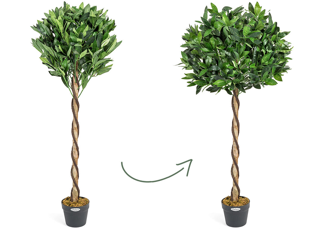 Easy to Shape & Style