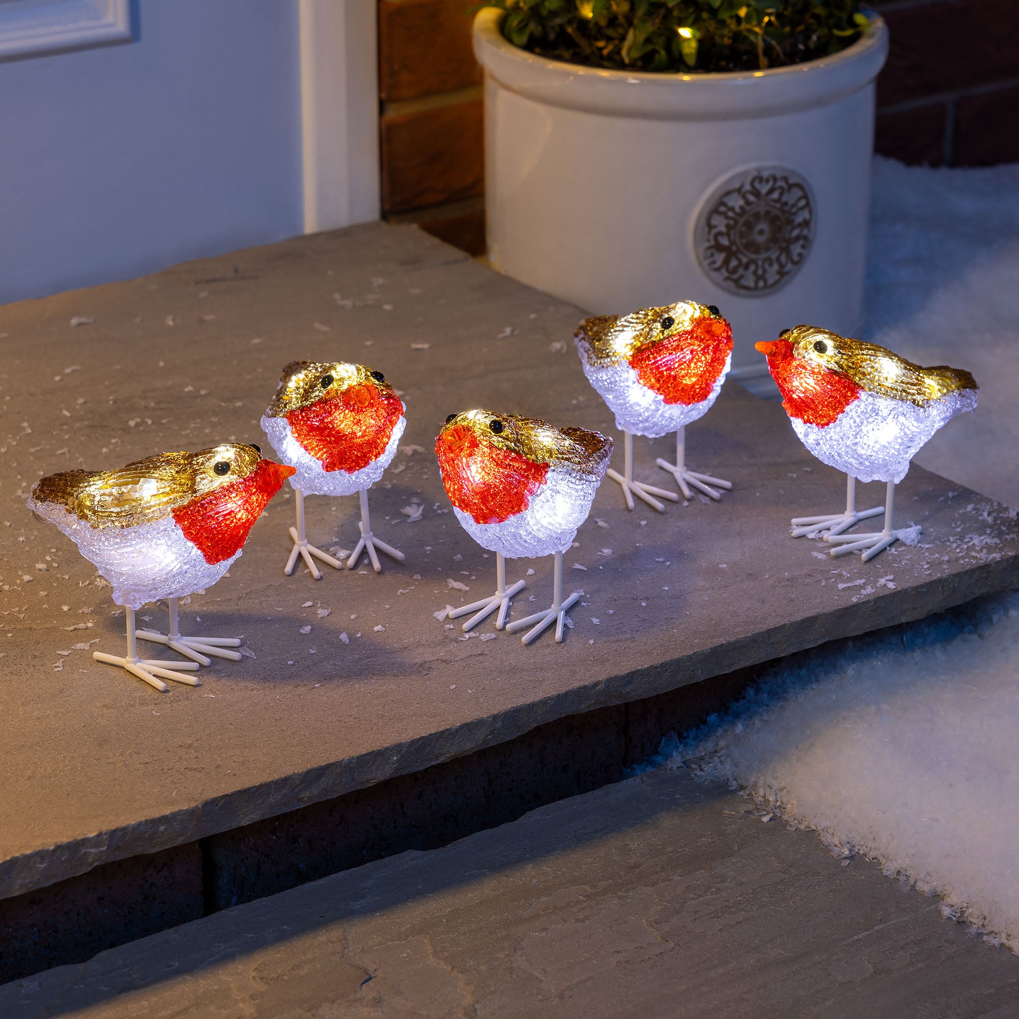 Acrylic Light Up Robins (Set of 5)