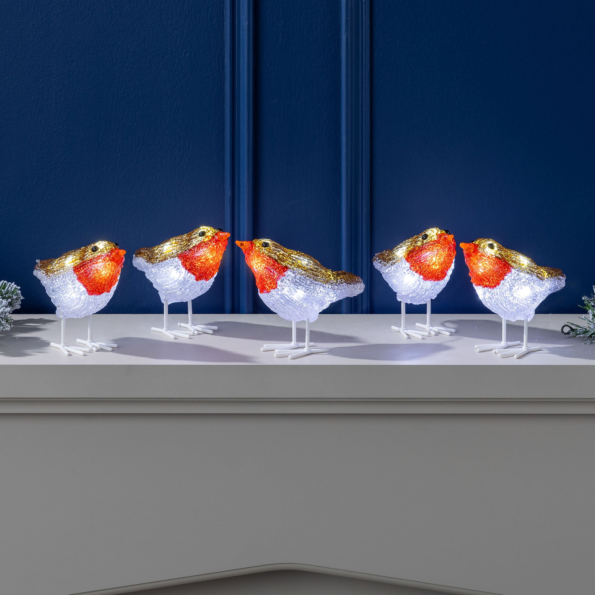 Acrylic Light Up Robins (Set of 5)