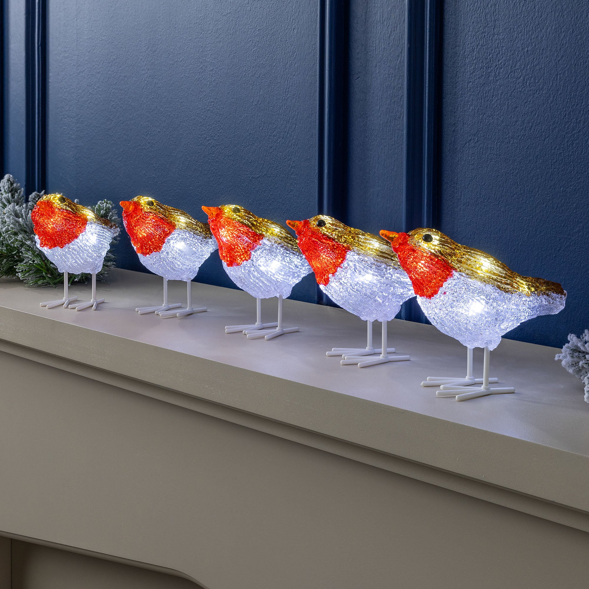 Acrylic Light Up Robins (Set of 5)
