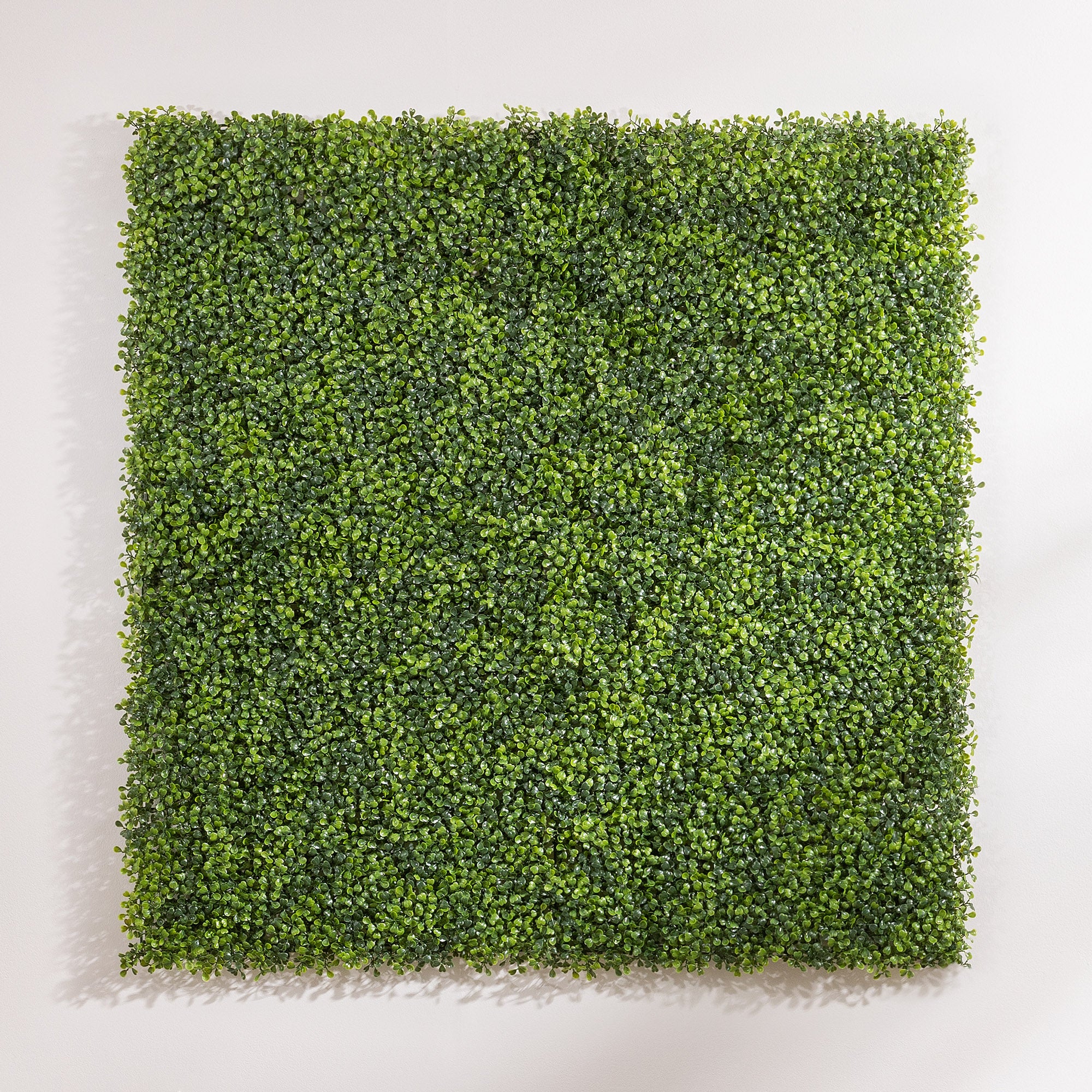 Artificial Boxwood Living Wall Panels