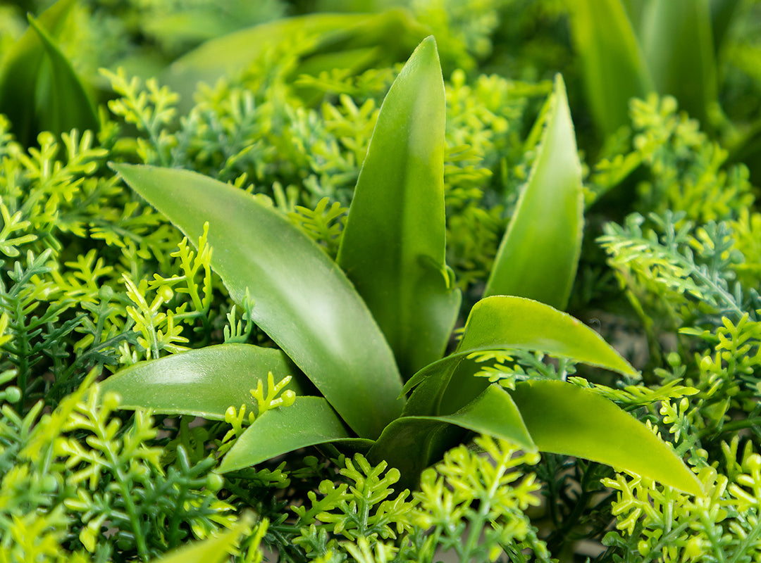 Dense, Realistic Foliage