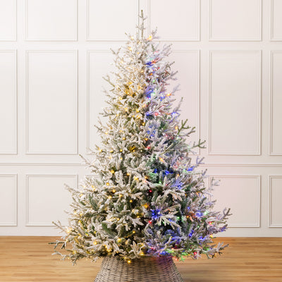 Pre-Lit Flocked Verbier Fir Christmas Tree