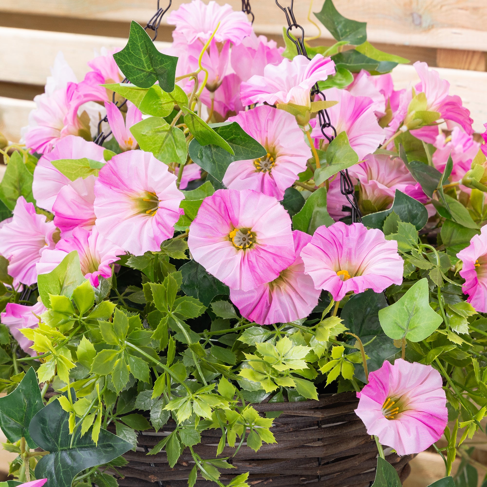 #colour_Pink | Size_25cm 