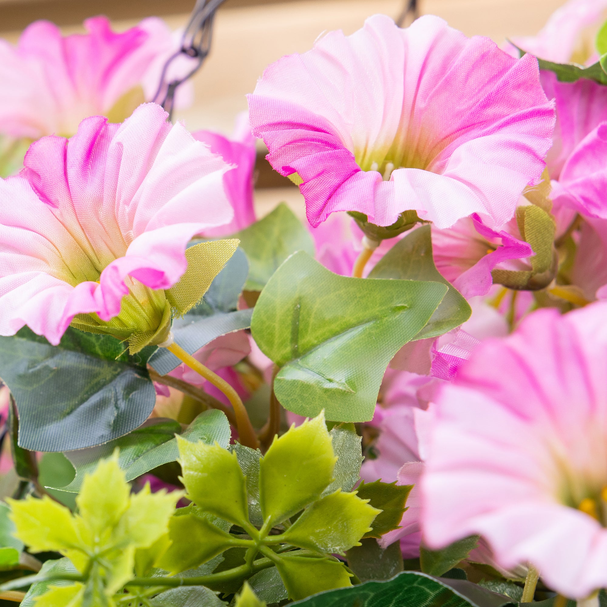 #colour_Pink | Size_25cm 