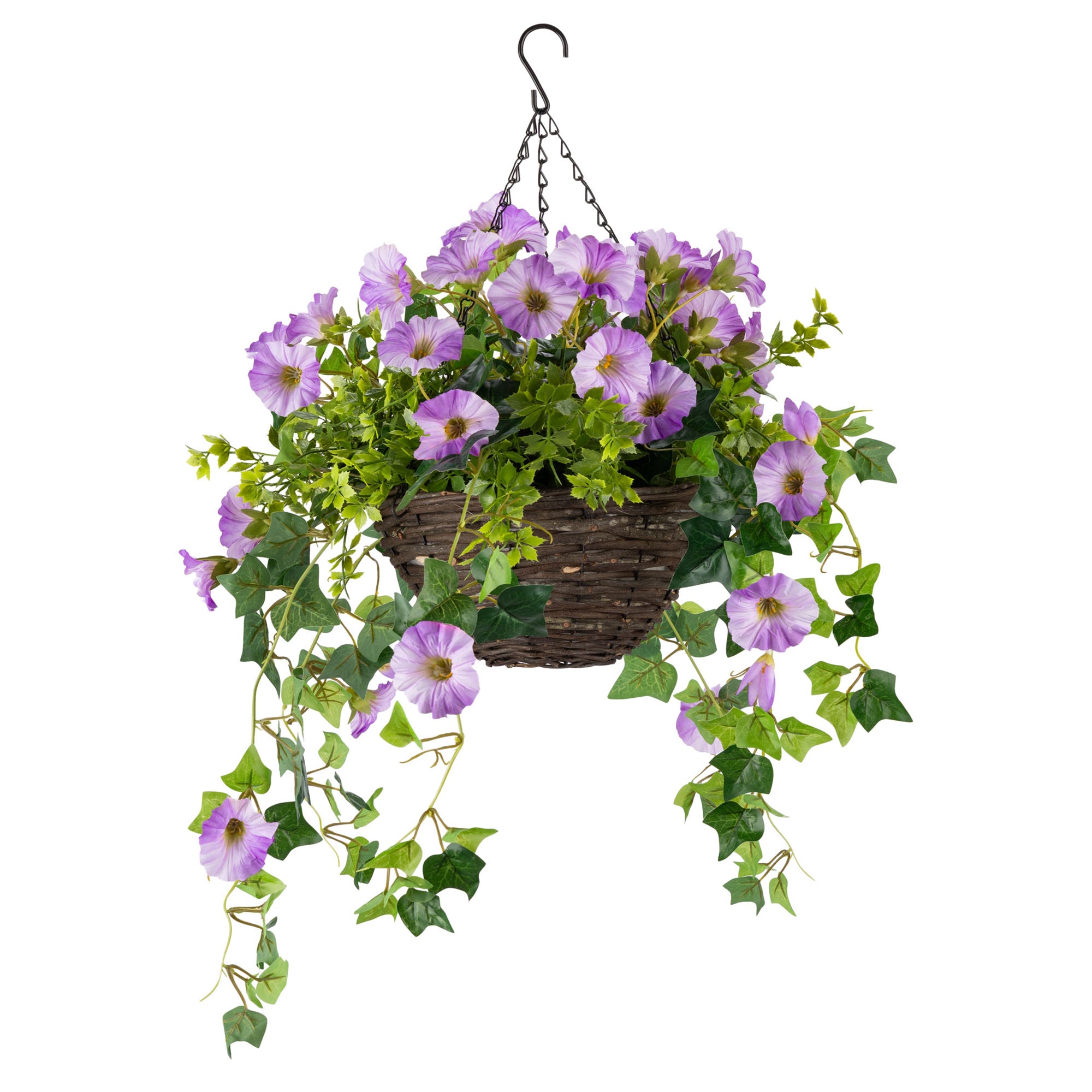 #colour_Purple | Size_25cm 