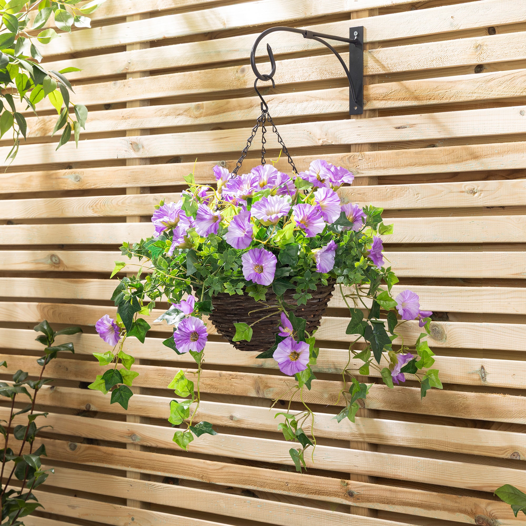 #colour_Purple | Size_25cm 