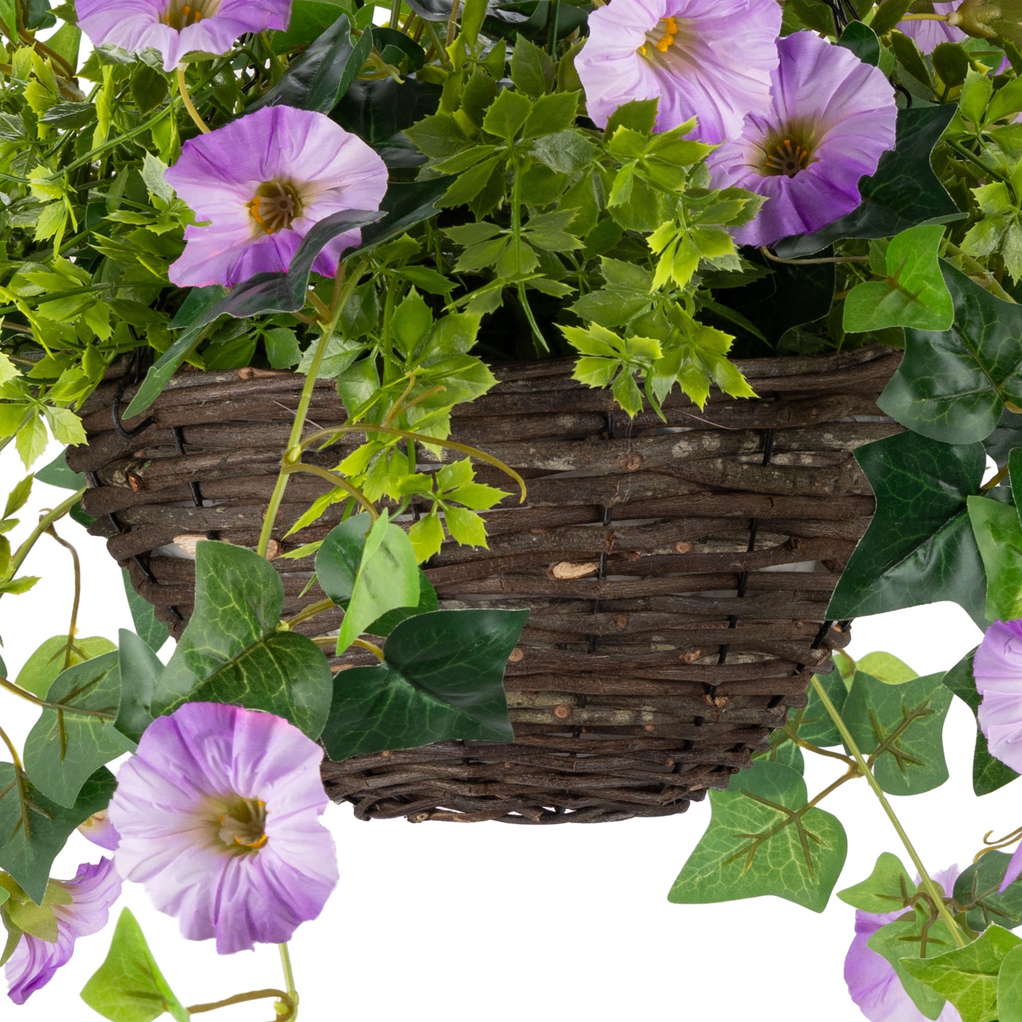 #colour_Purple | Size_25cm 