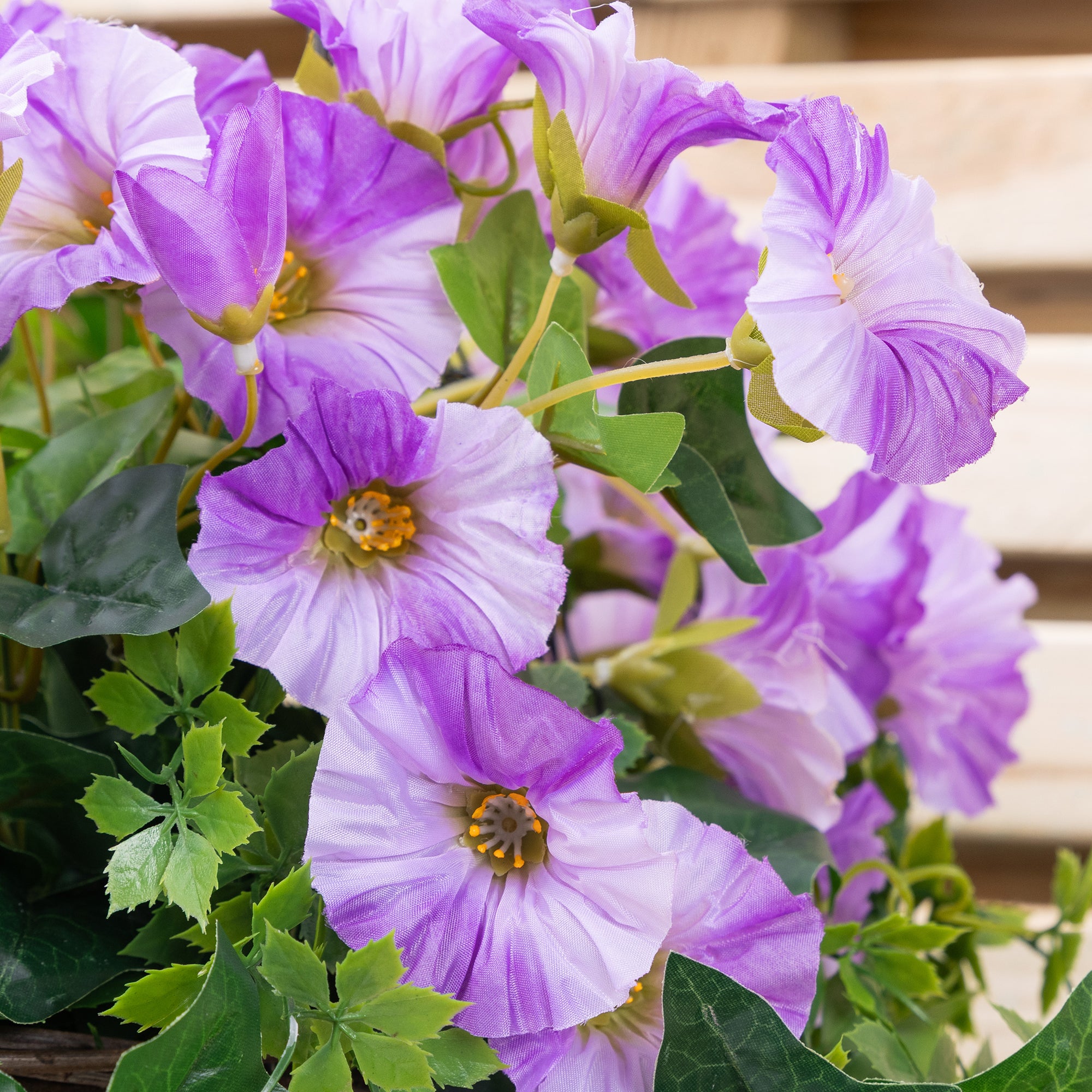 #colour_Purple | Size_25cm 