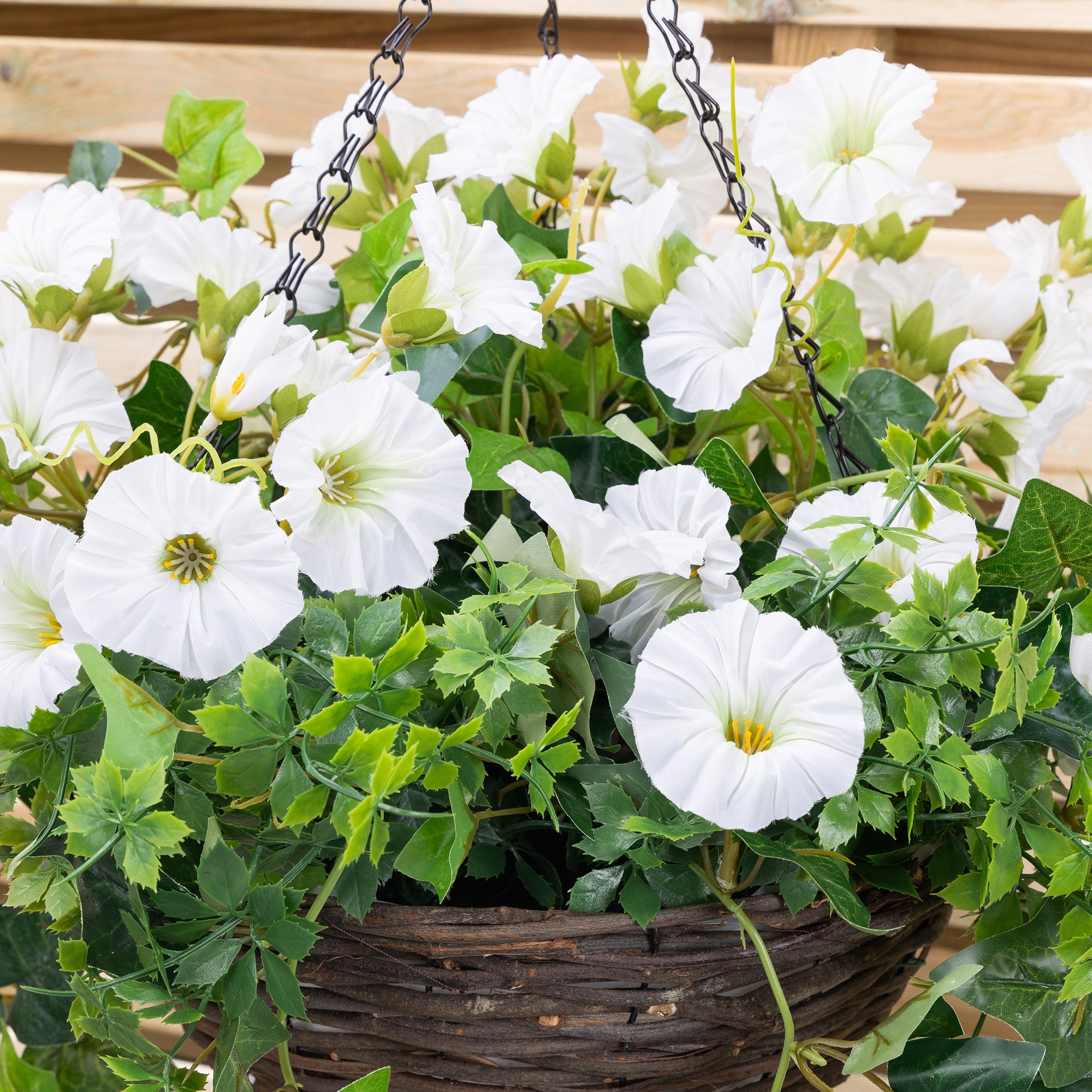 #colour_White | Size_25cm 