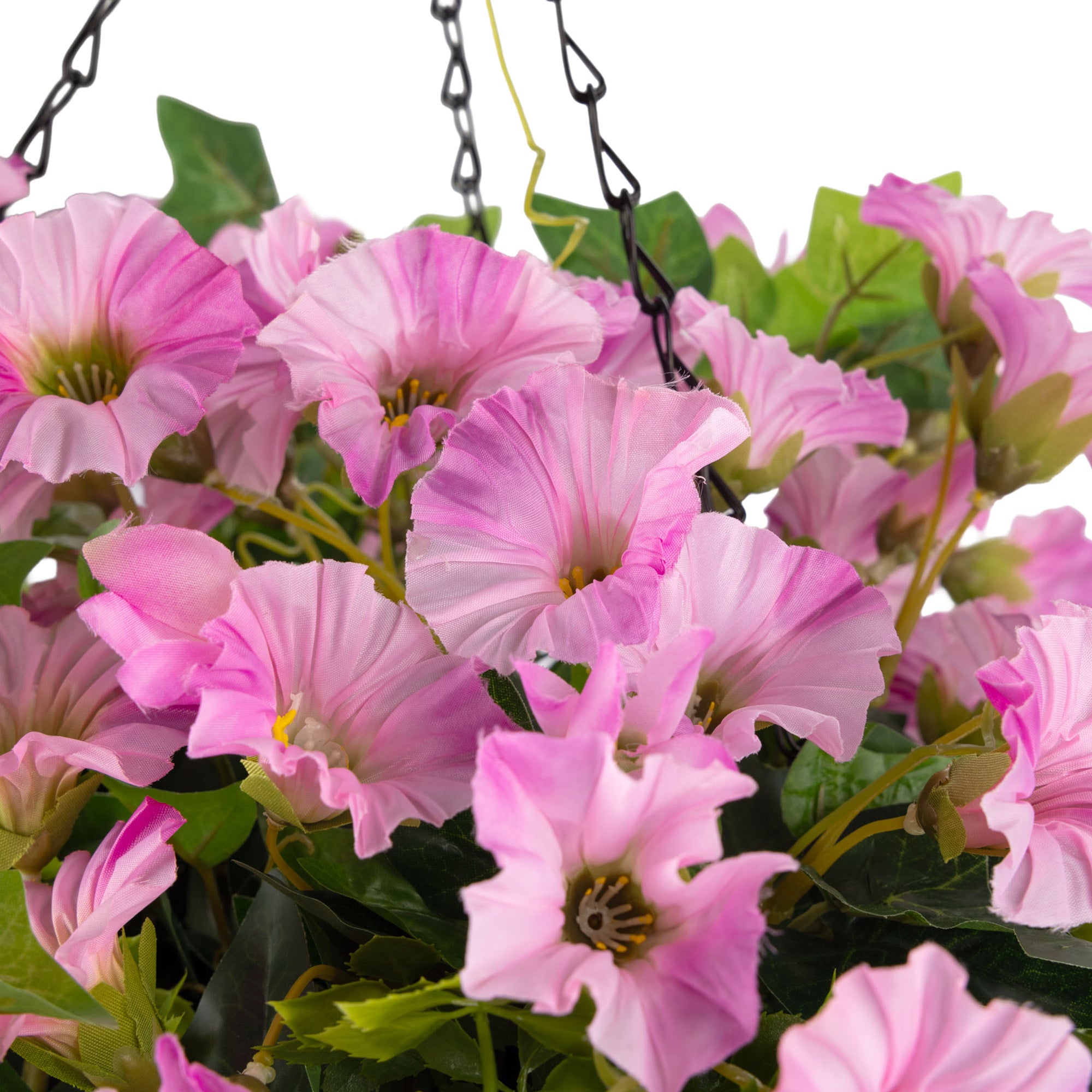 #colour_Pink | Size_30cm 