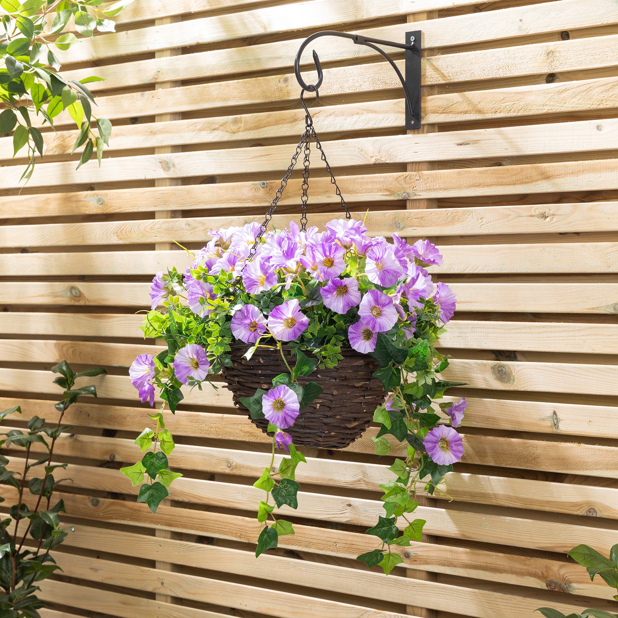 #colour_Purple | Size_30cm 