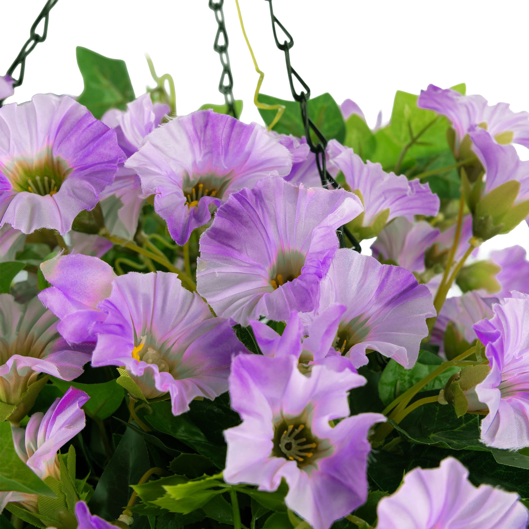 #colour_Purple | Size_30cm 