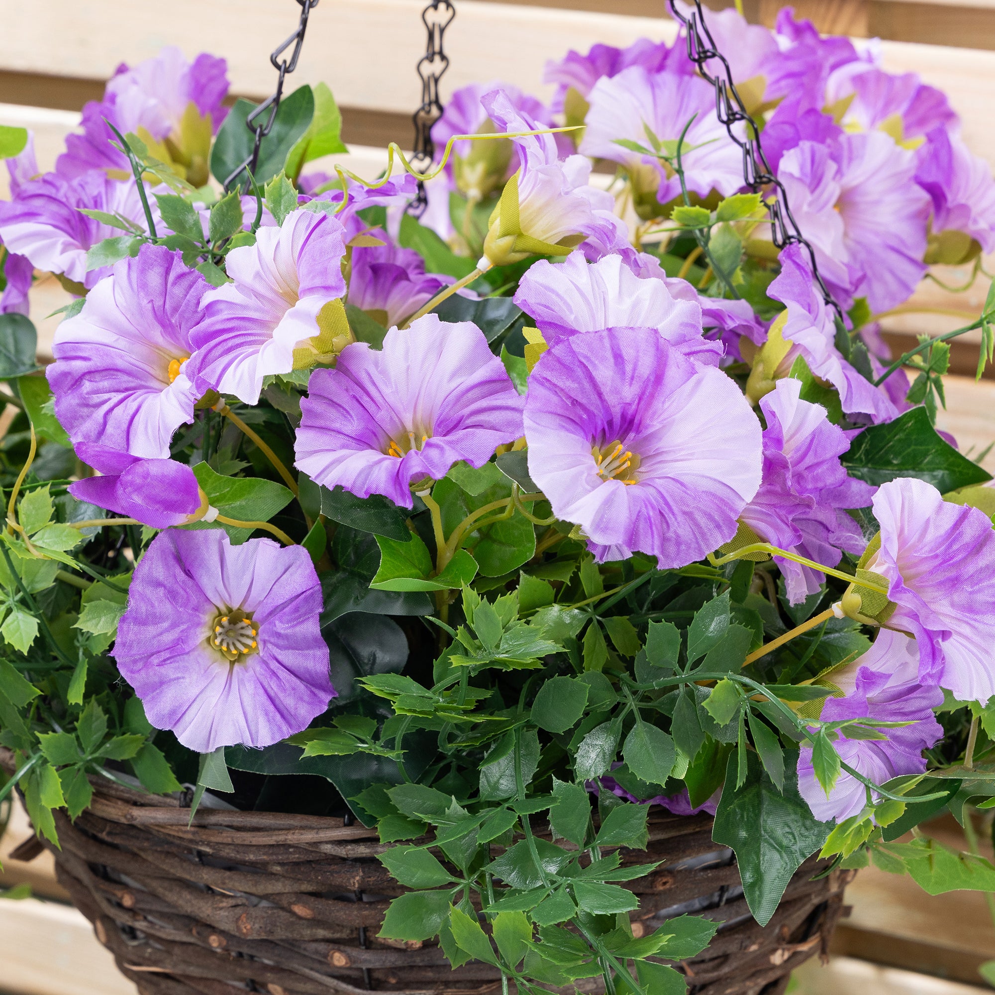 #colour_Purple | Size_30cm 