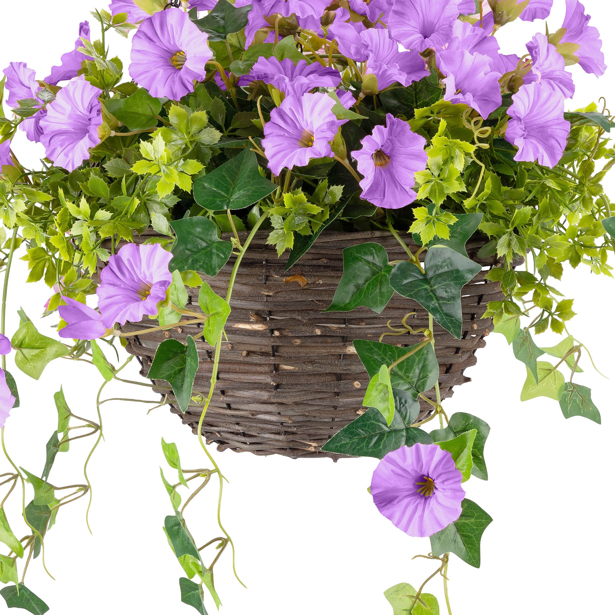 #colour_Purple | Size_30cm 