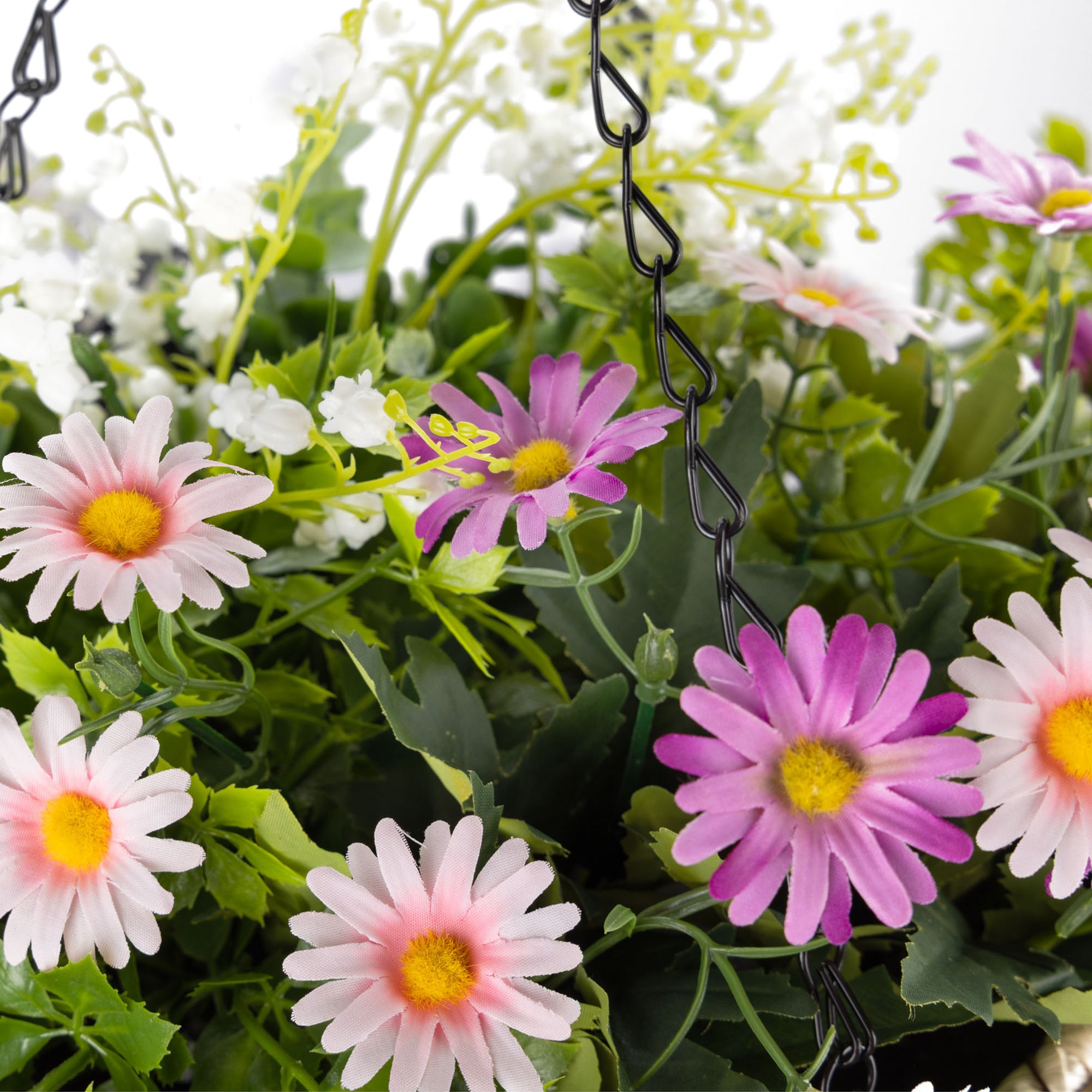 #colour_Pink & Lilac