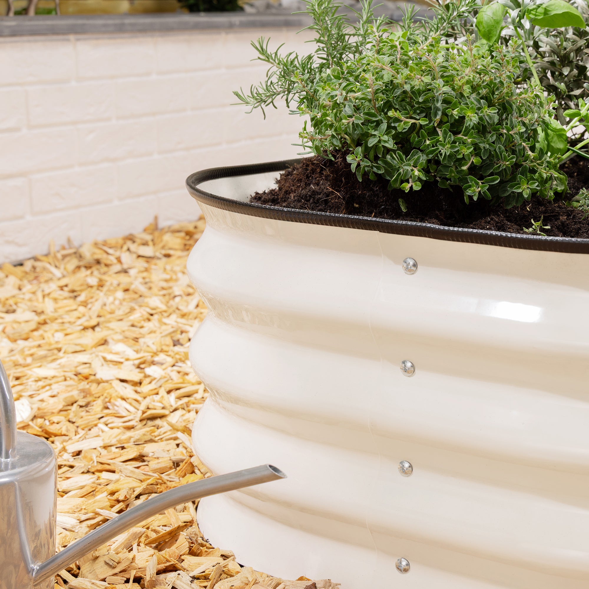 #Colour_Cream | Size_63cm