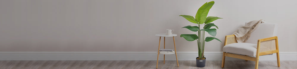 Christow Deals | Home, Garden & Christmas Sale