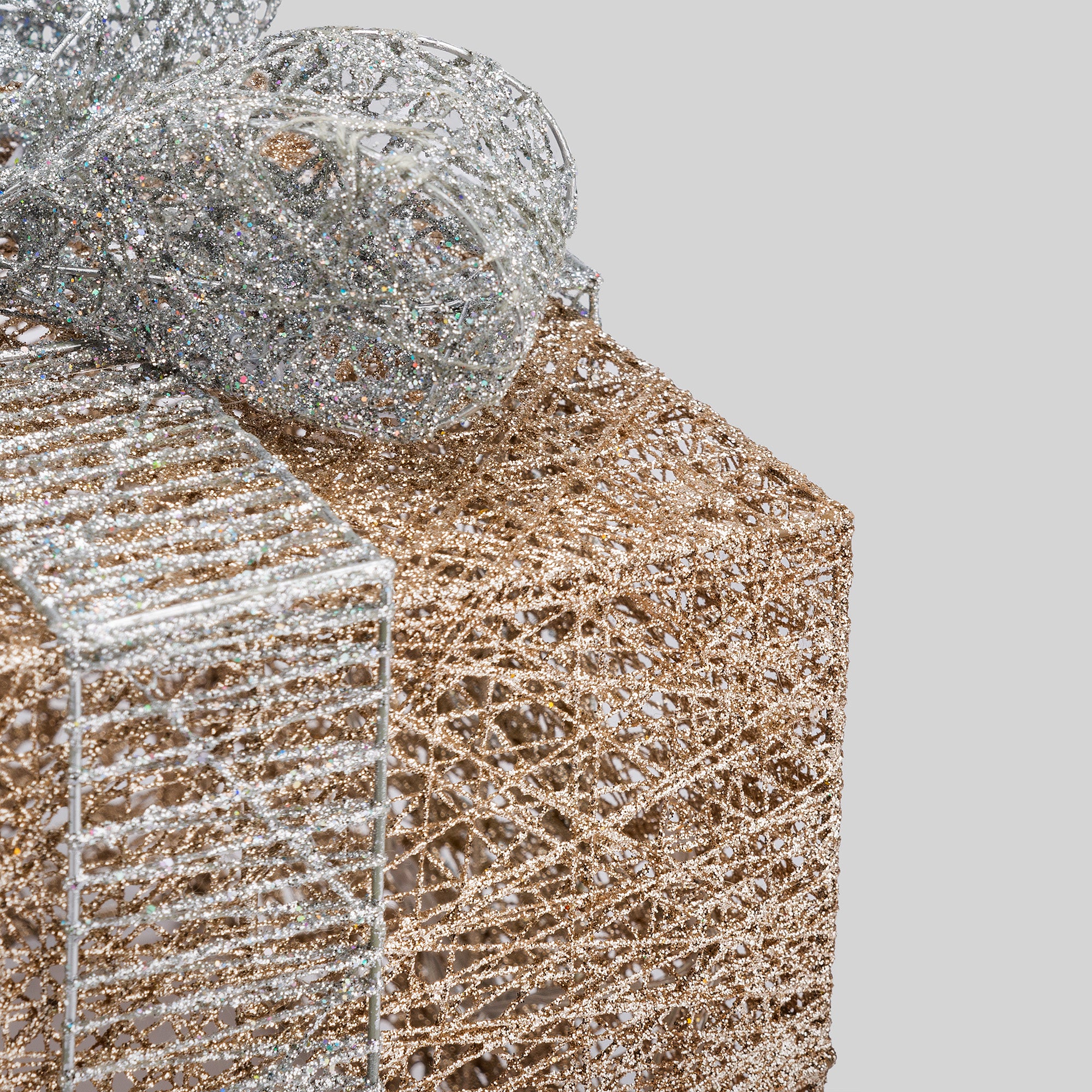 #colour_champagne & silver