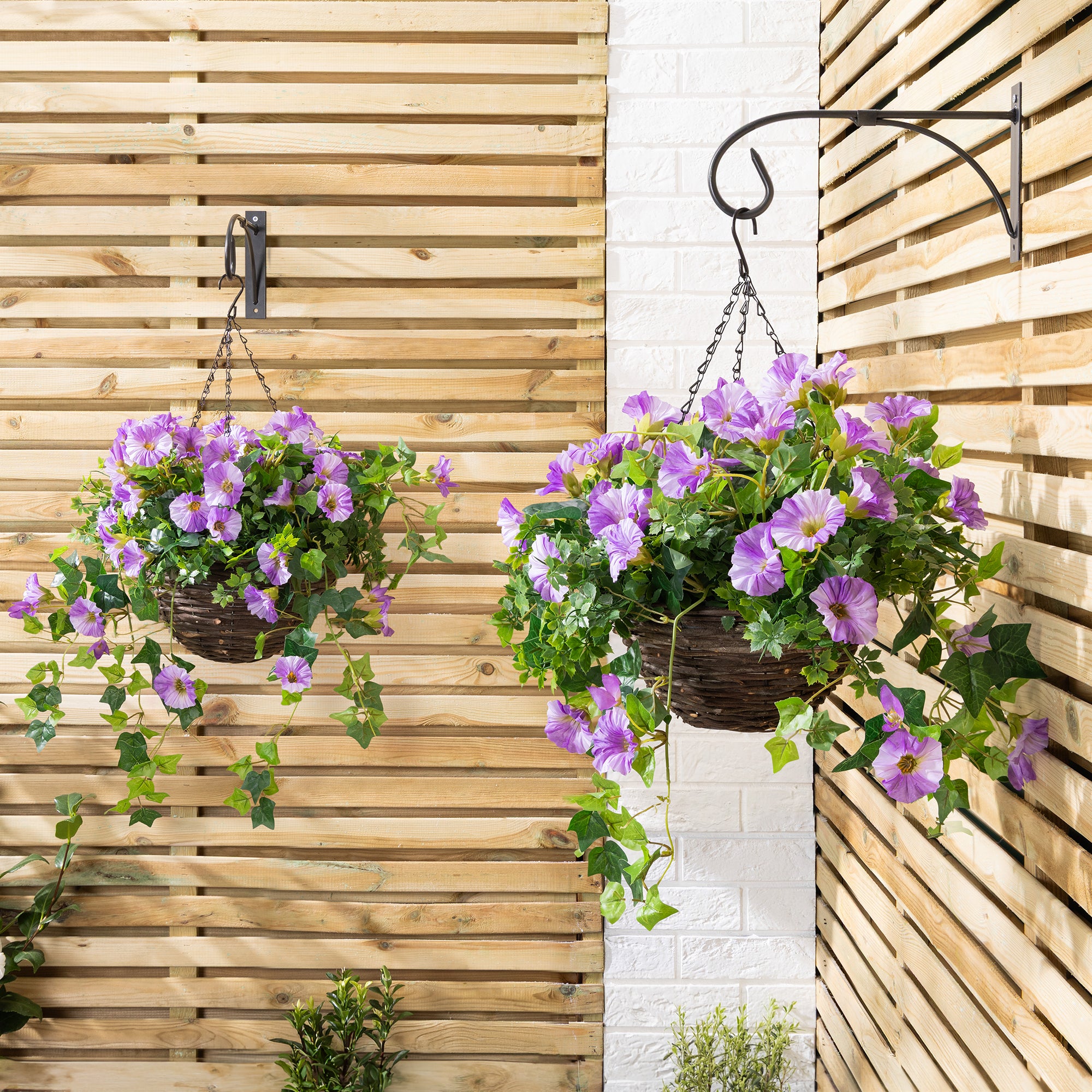 #colour_Purple | Size_25cm 