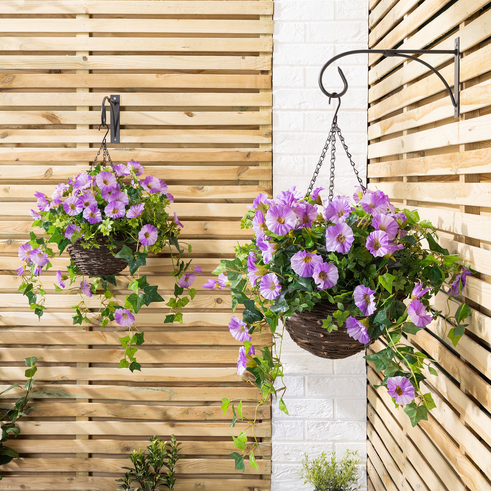 #colour_Purple | Size_30cm 